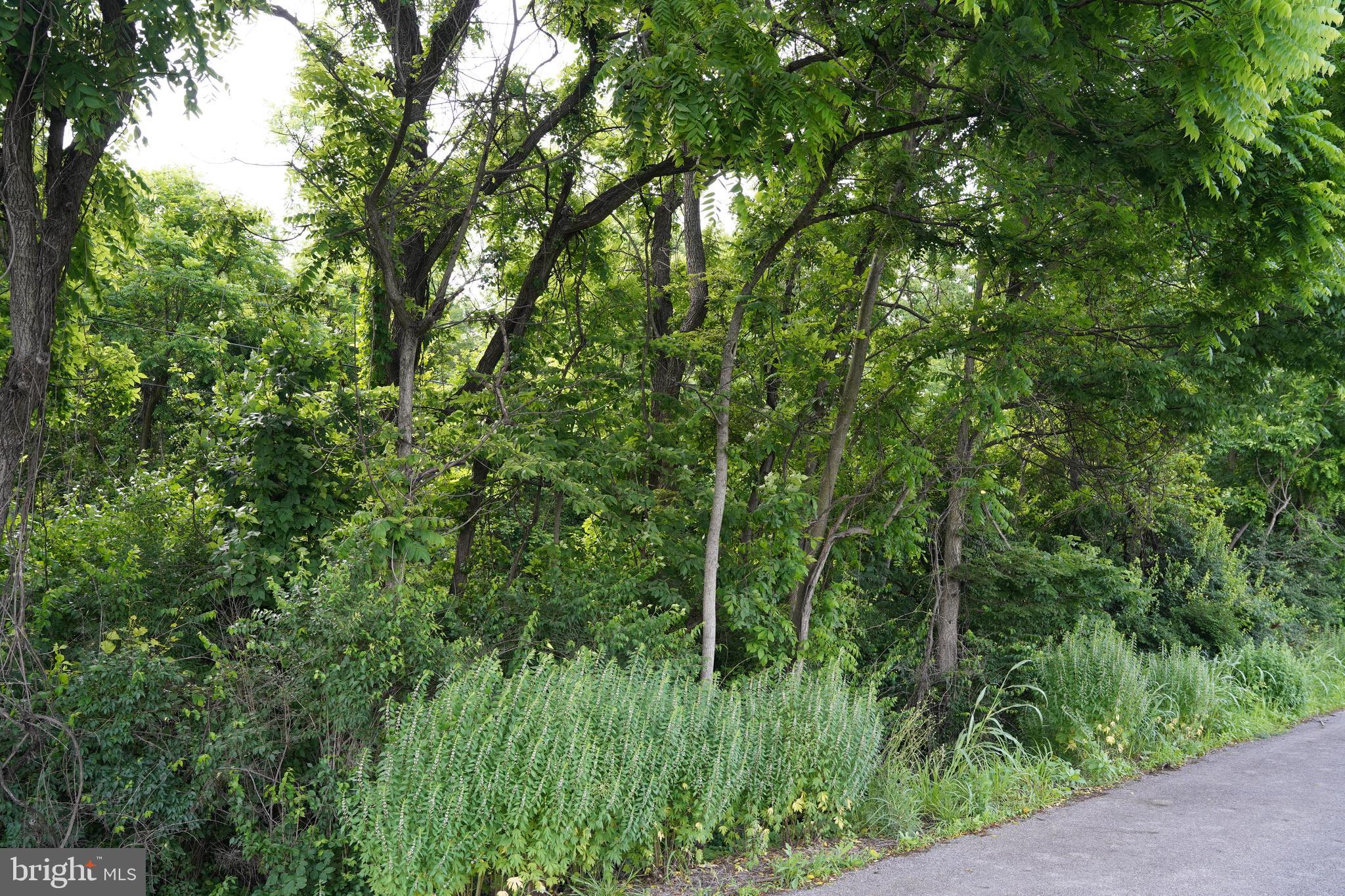 HAROLD DRIVE