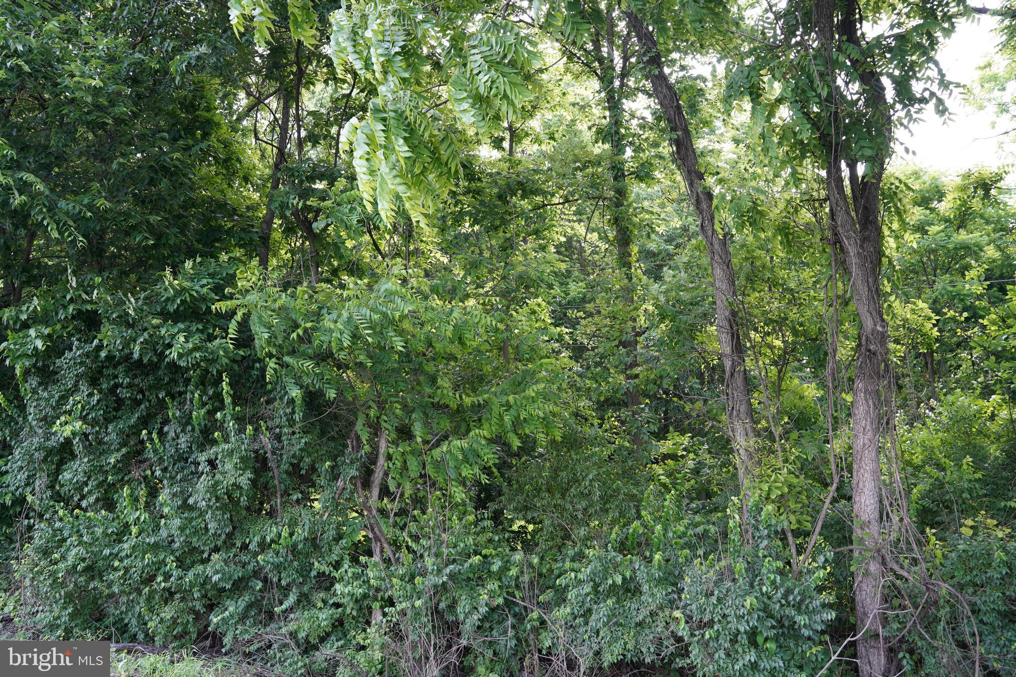HAROLD DRIVE