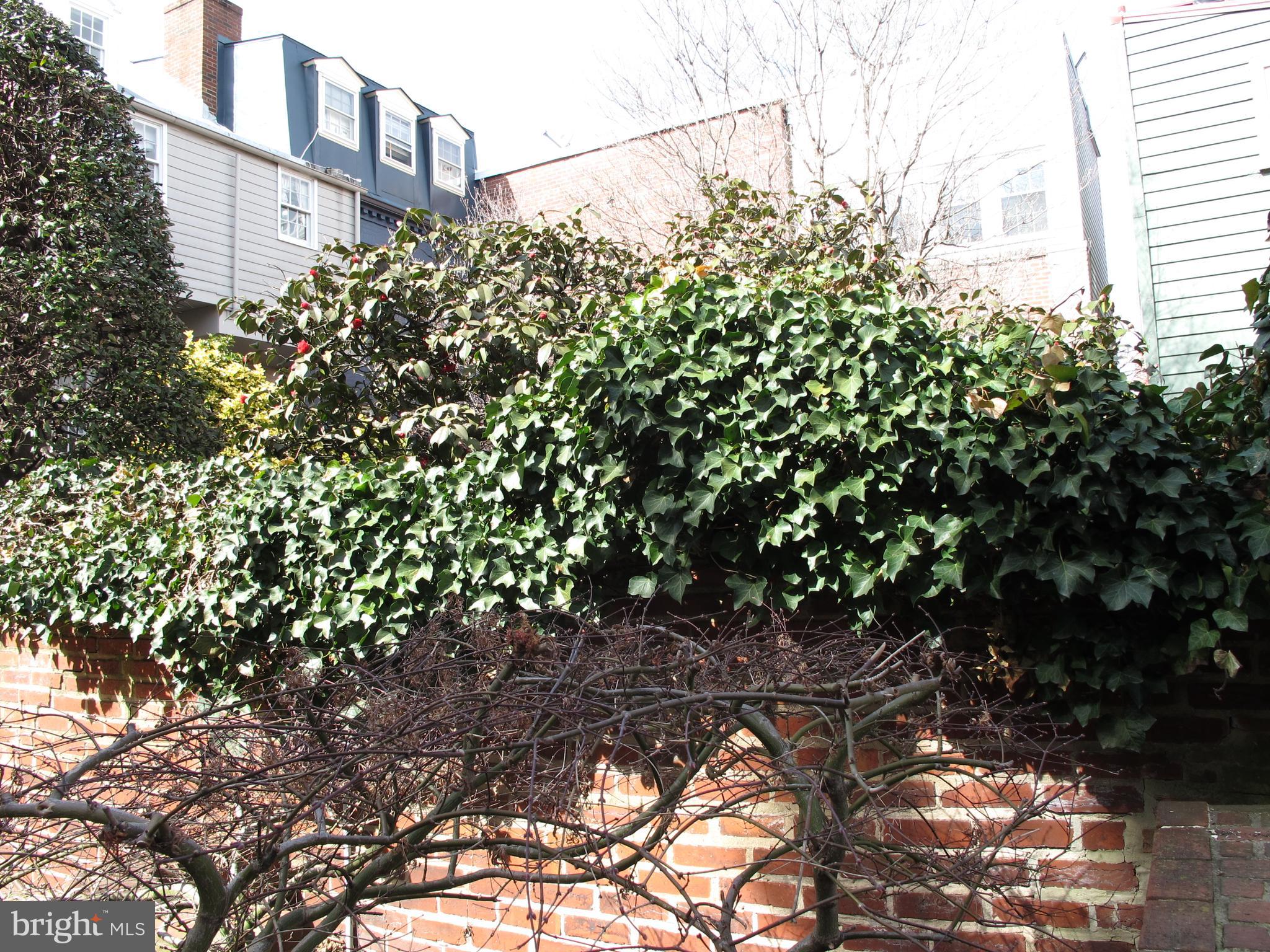 OLD TOWN - Residential