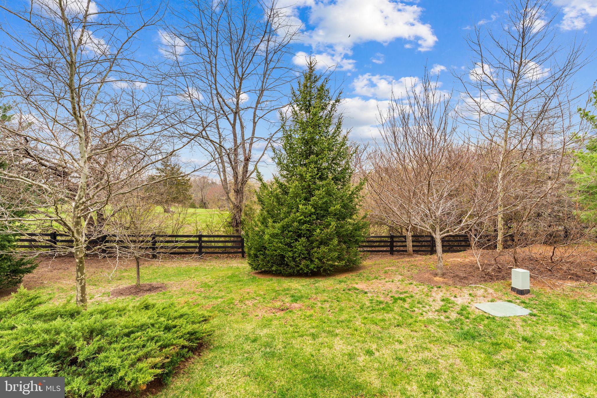 BELMONT ESTATES - Residential