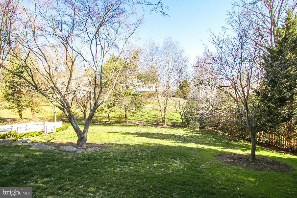 CHEVY CHASE VIEW - Residential