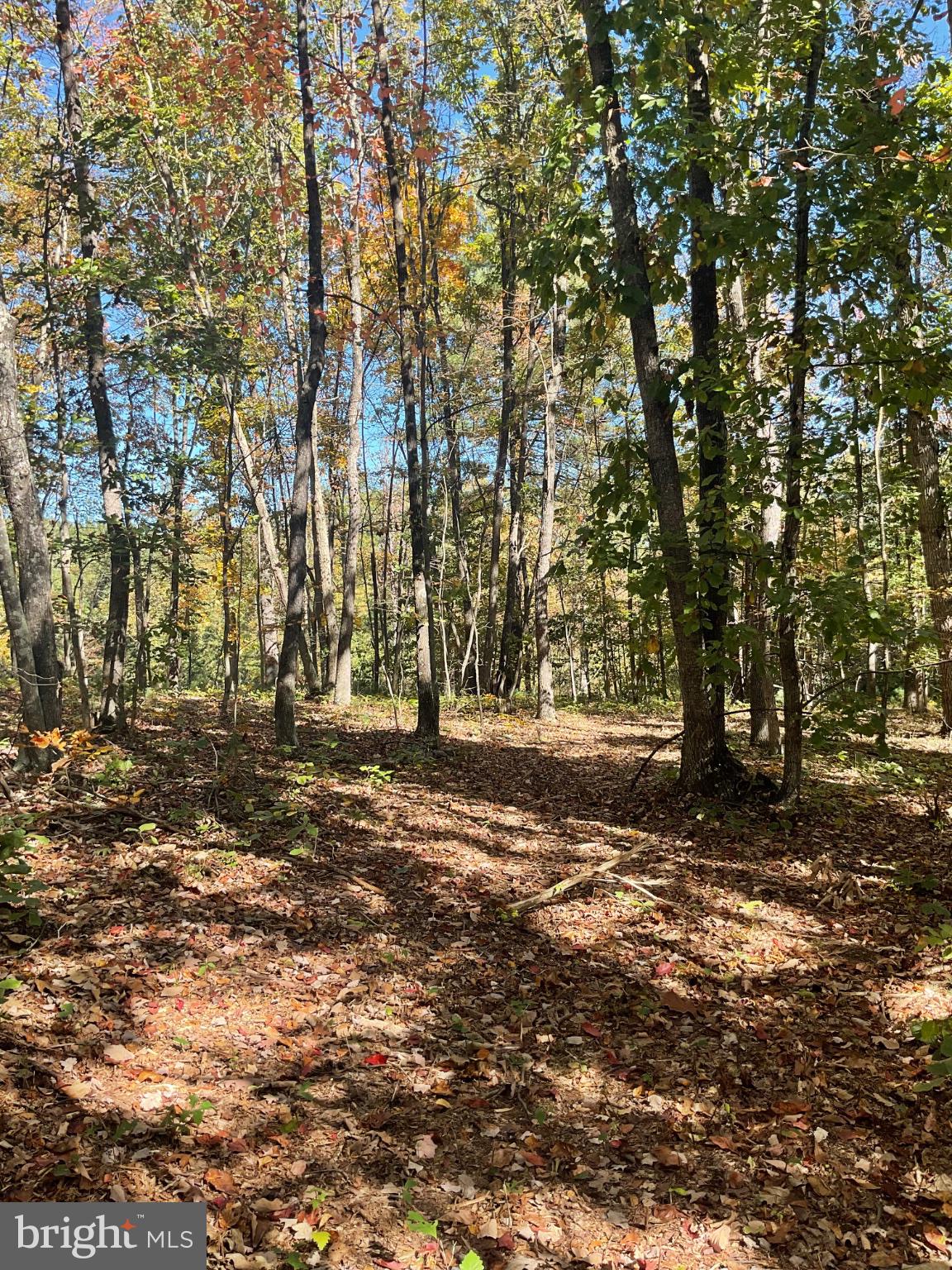 TBD MILLER LN.