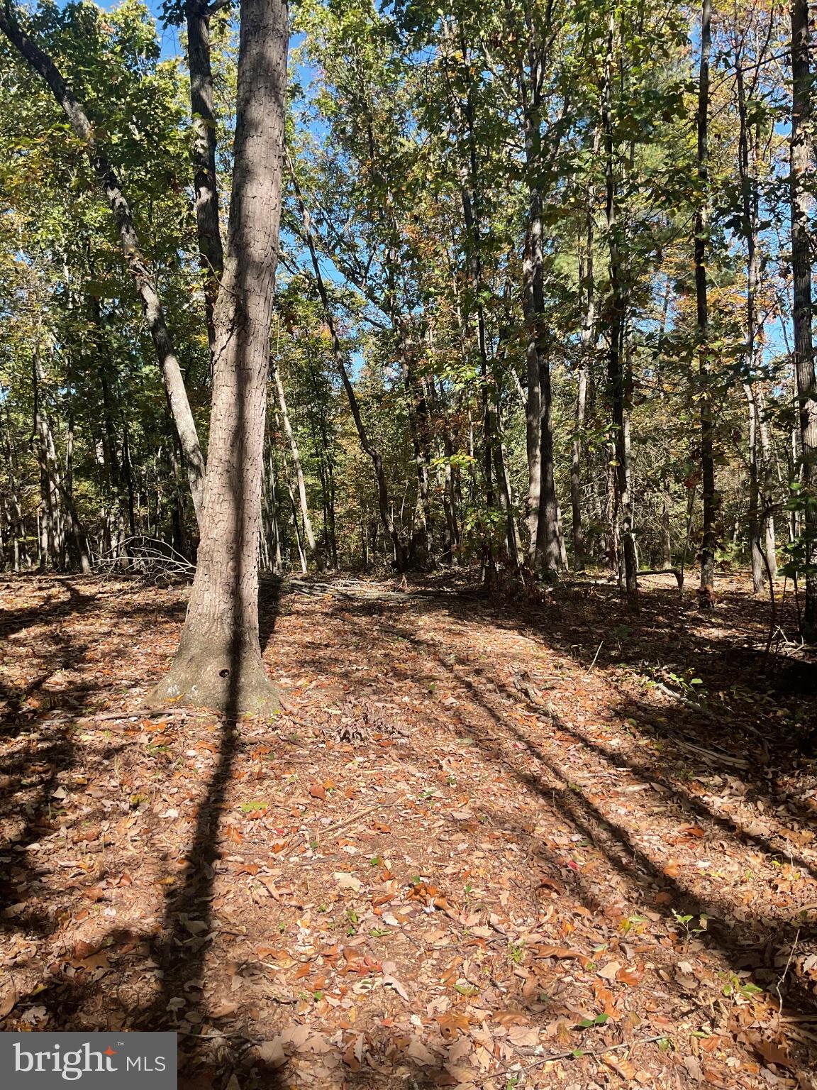 TBD MILLER LN.