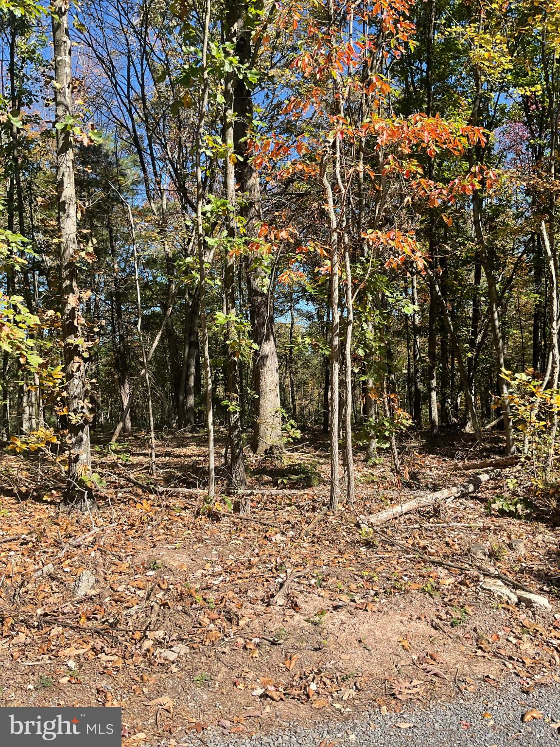 TBD MILLER LN.