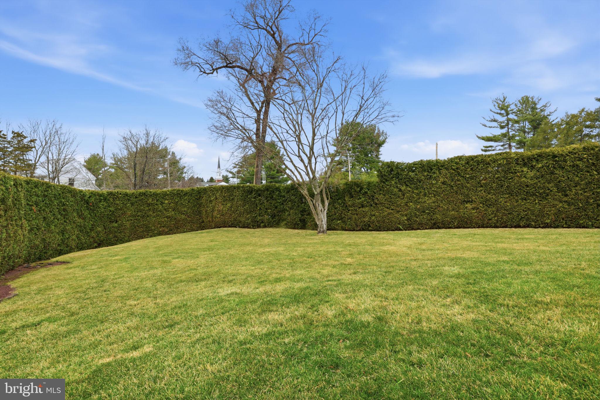 WASHINGTON CROSSING - Residential