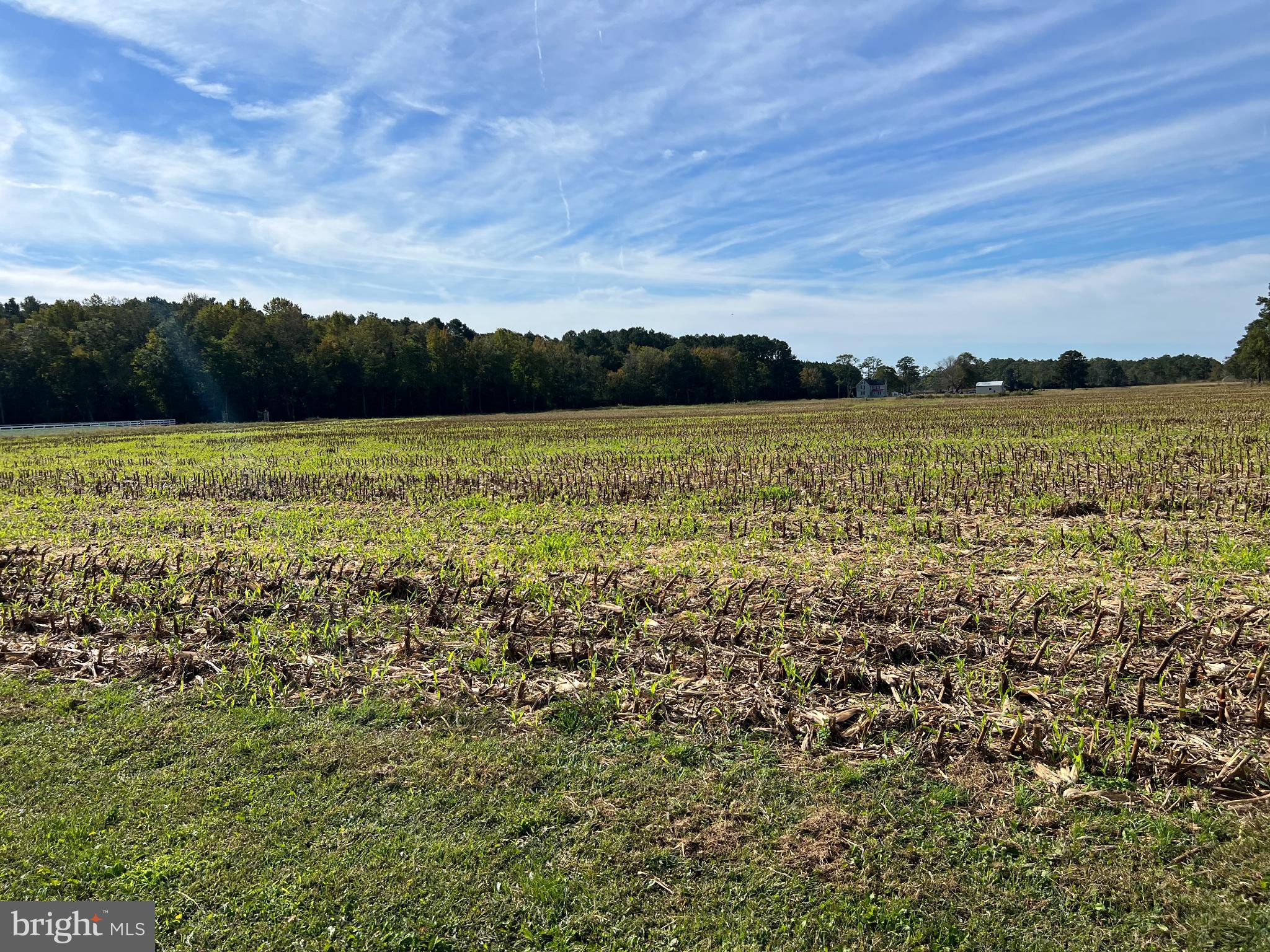 NONE AVAILABLE - Farm