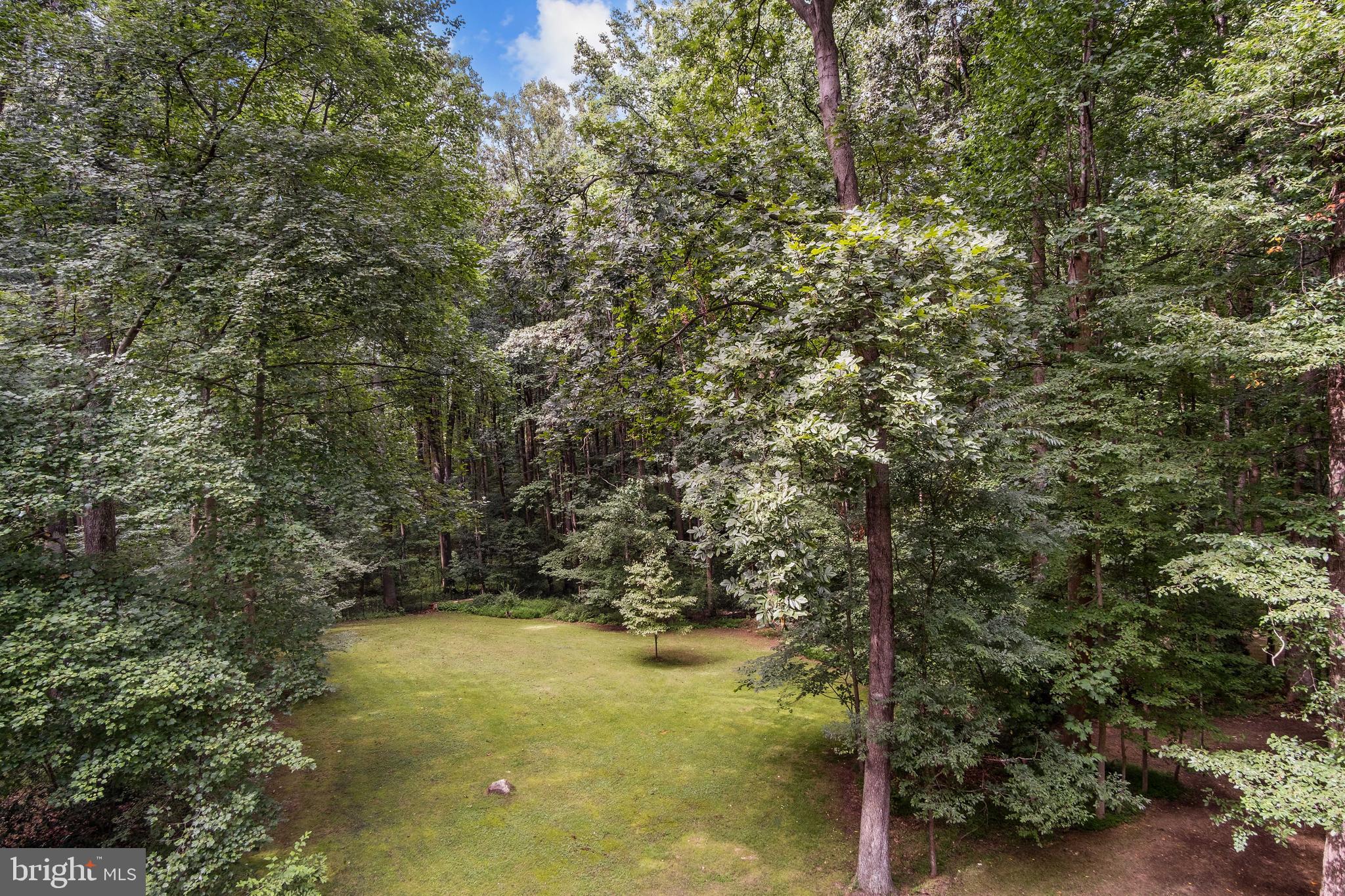 SPRINGVALE - Residential Lease