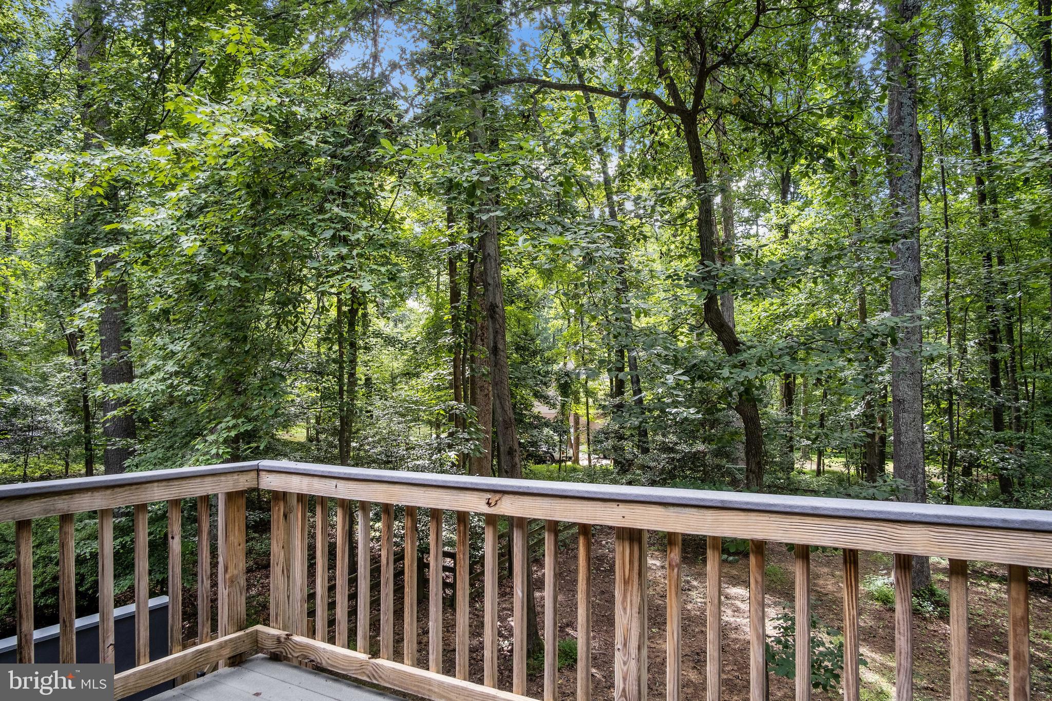 SPRINGVALE - Residential Lease