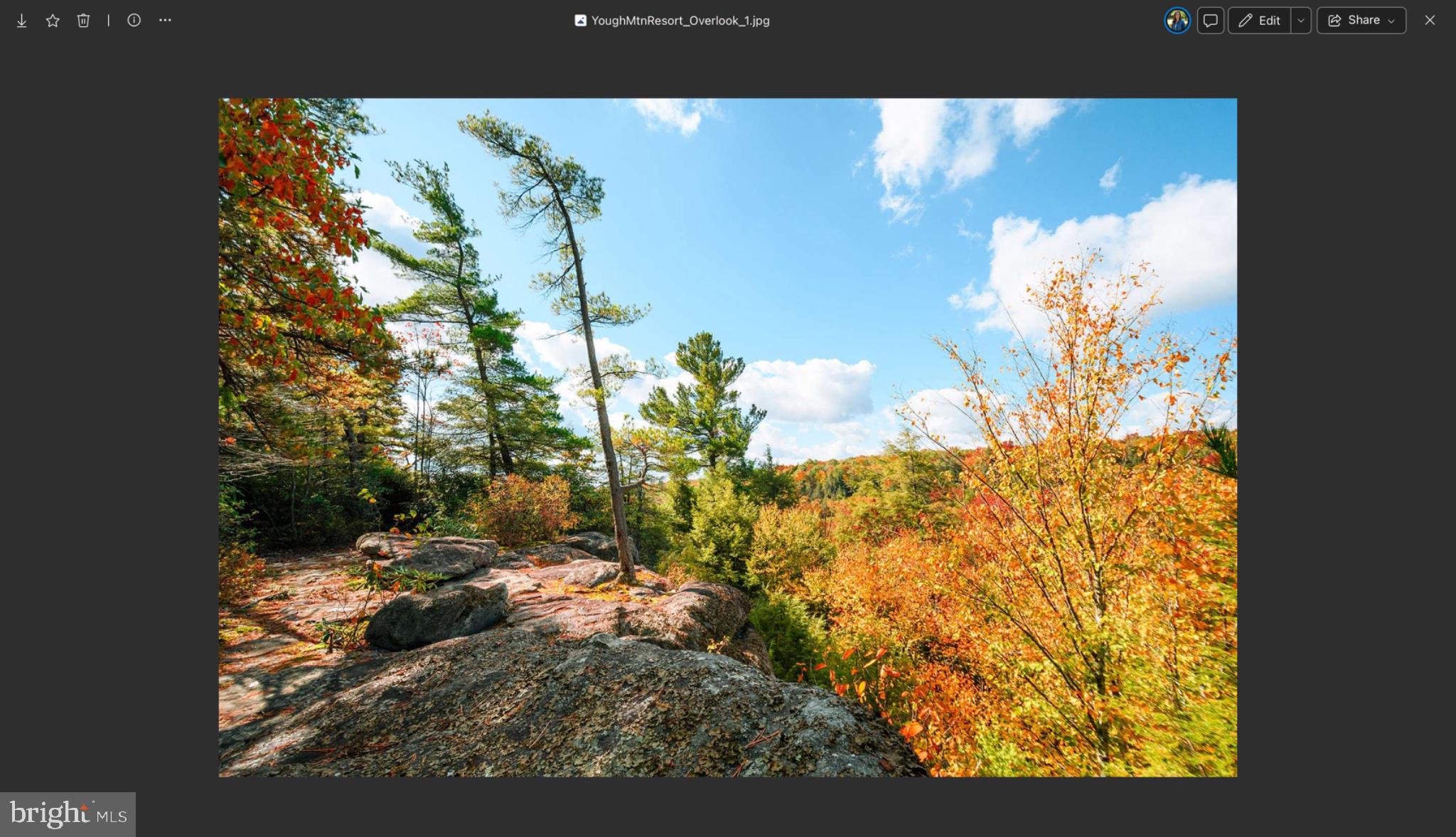 CEDAR LANE LOT 66