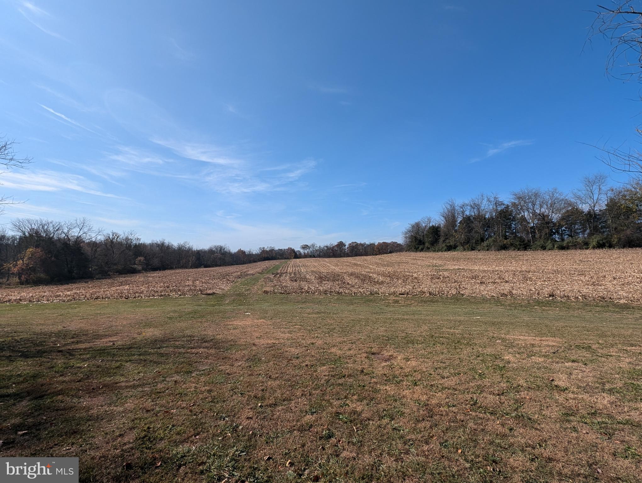 RURAL - Farm