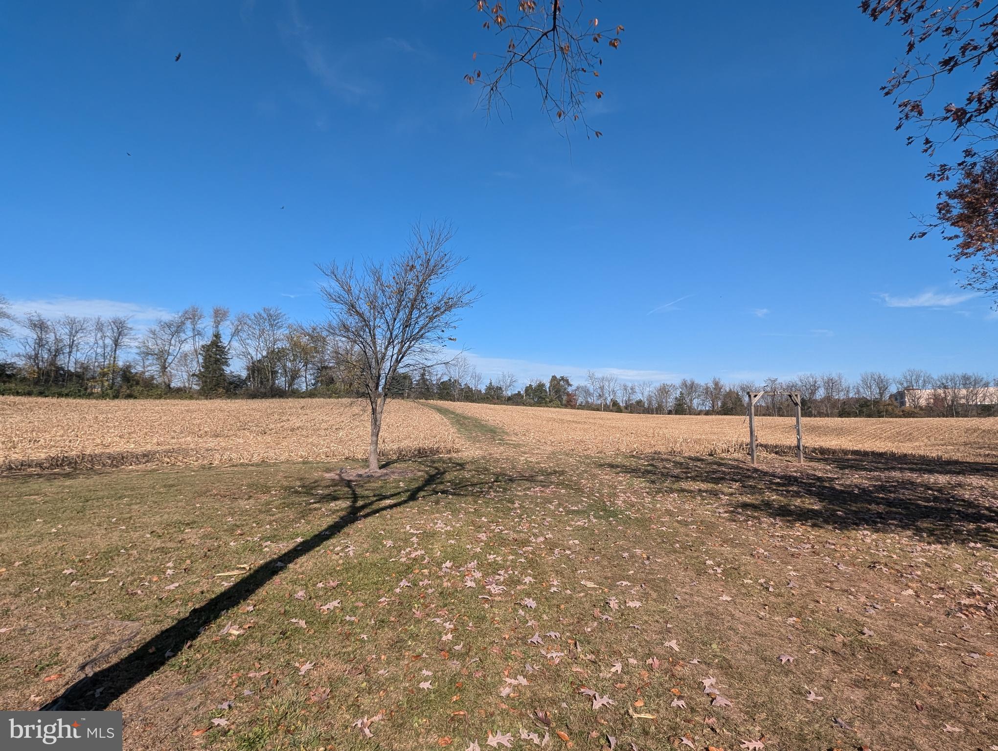 RURAL - Farm