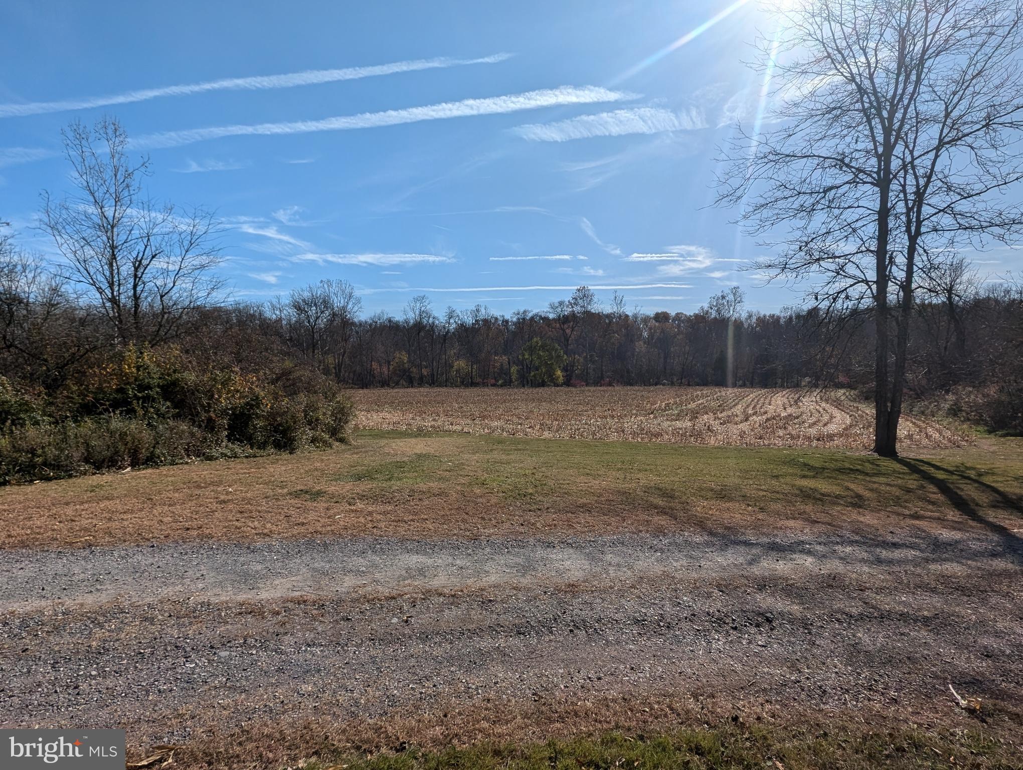 RURAL - Farm