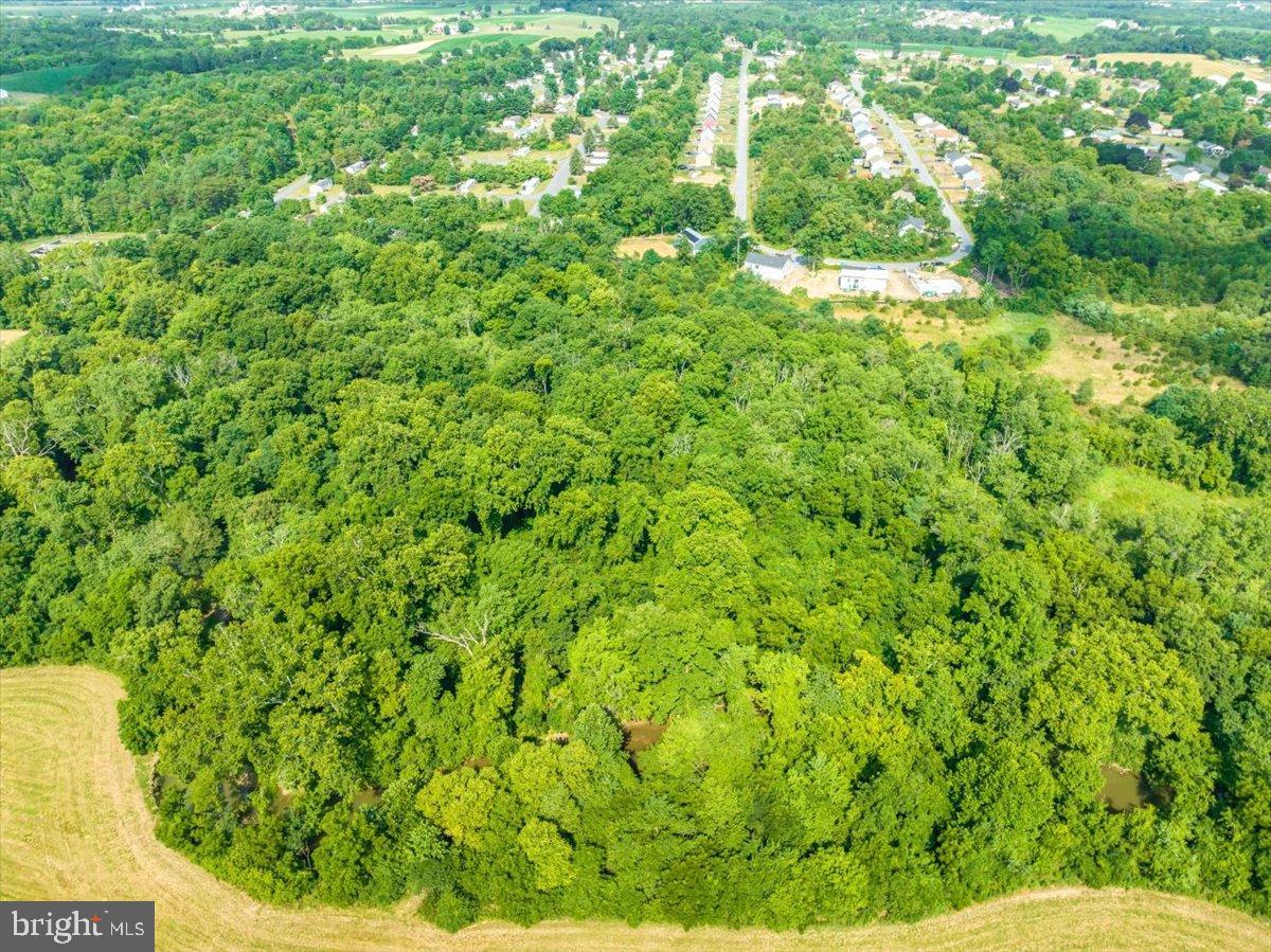 RANDOM OAKS PHASE II - Residential