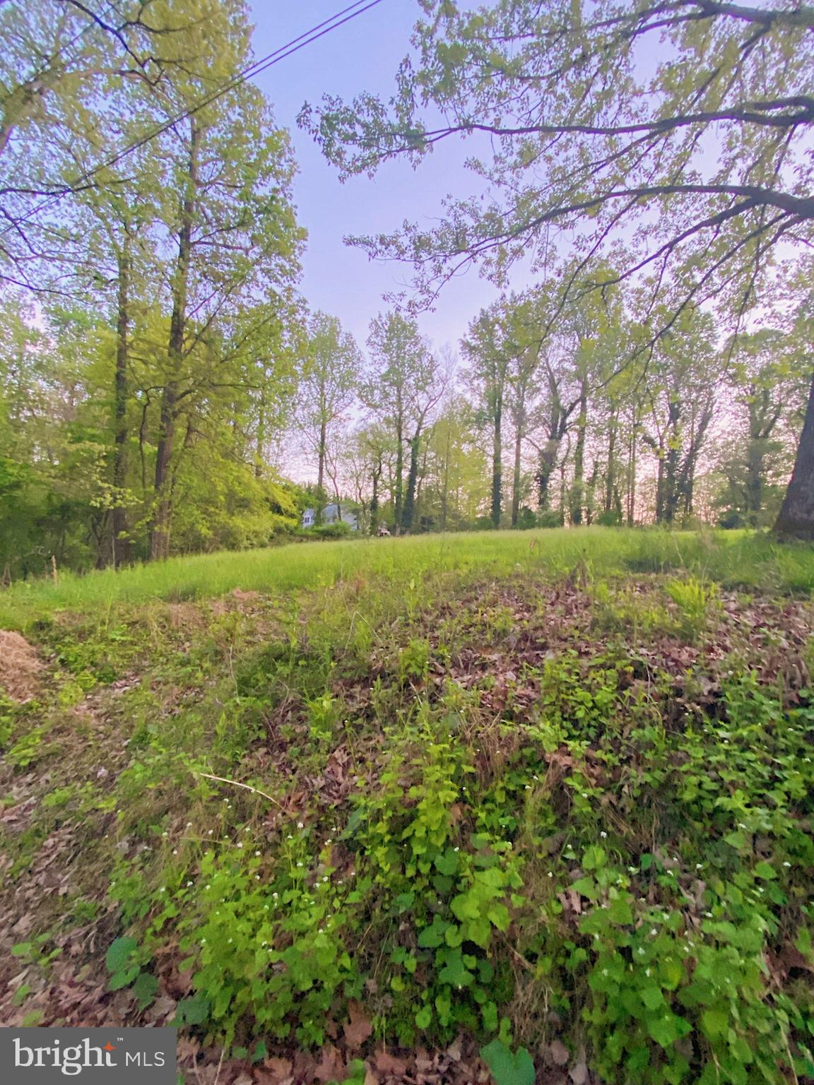 SHENANWOOD - Residential