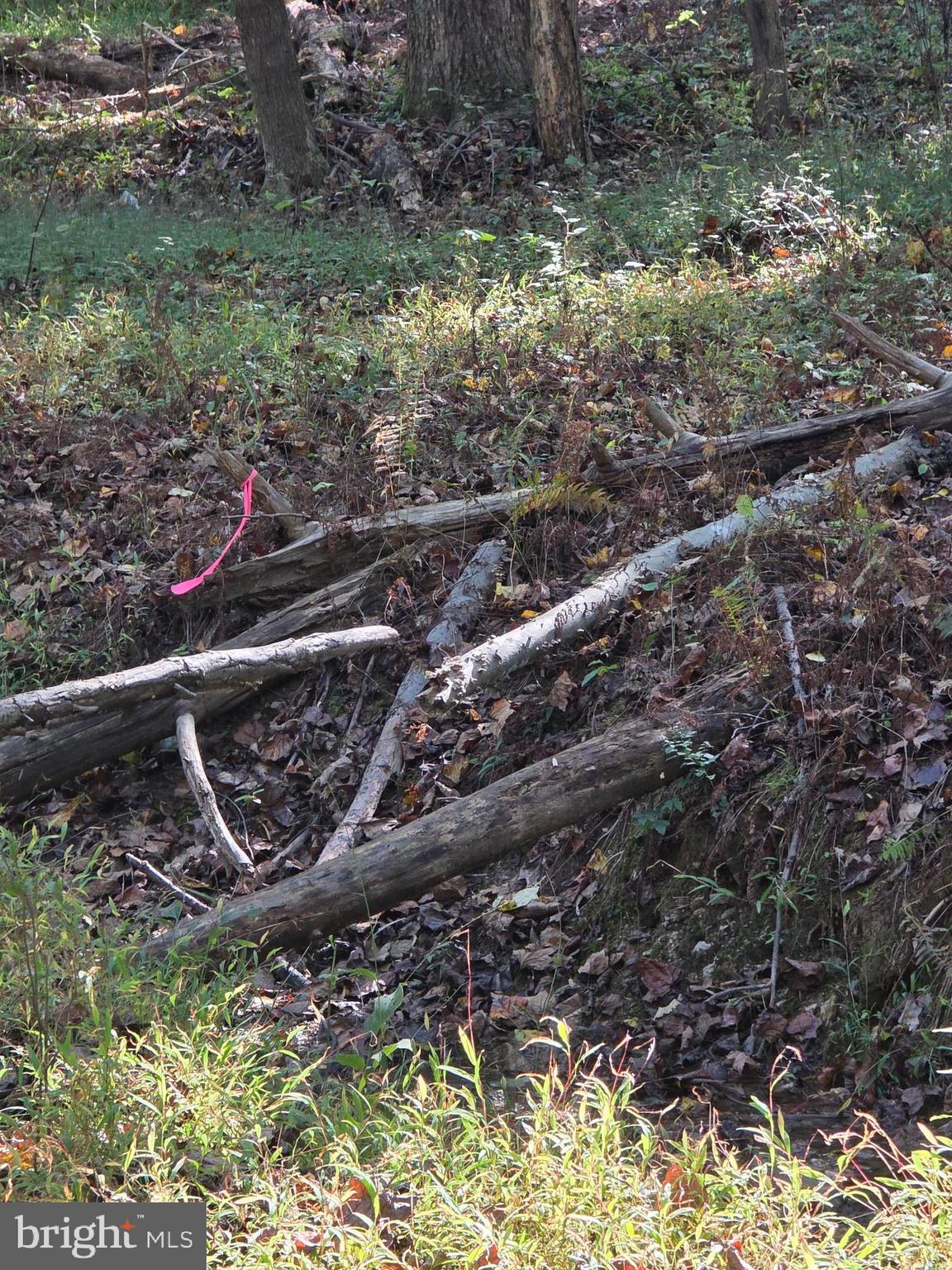 3816 JIM SMITH LANE A