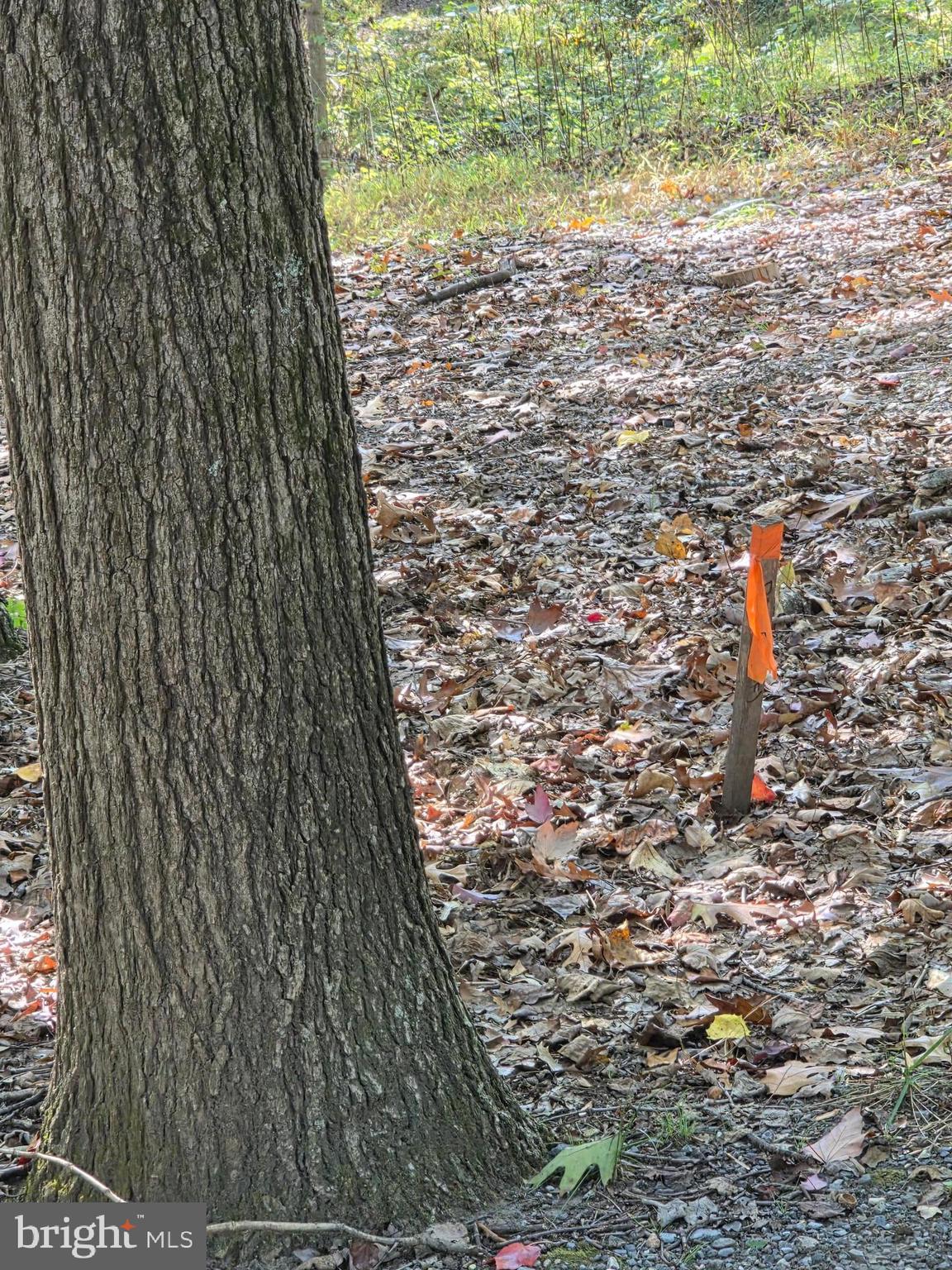 3816 JIM SMITH LANE A