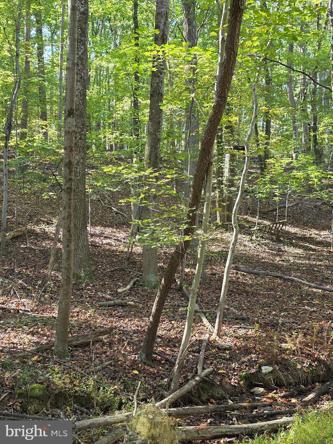 3816 JIM SMITH LANE A