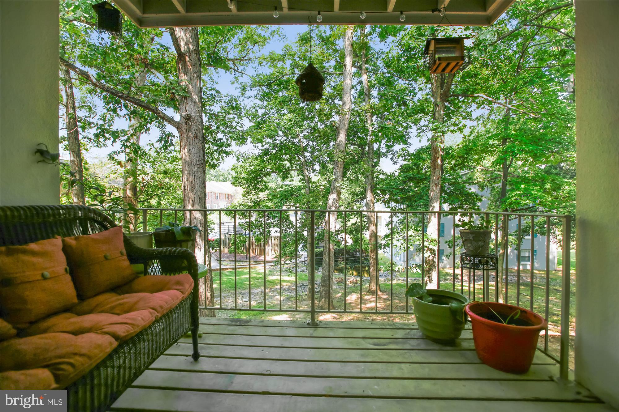 CARDINAL FOREST - Residential