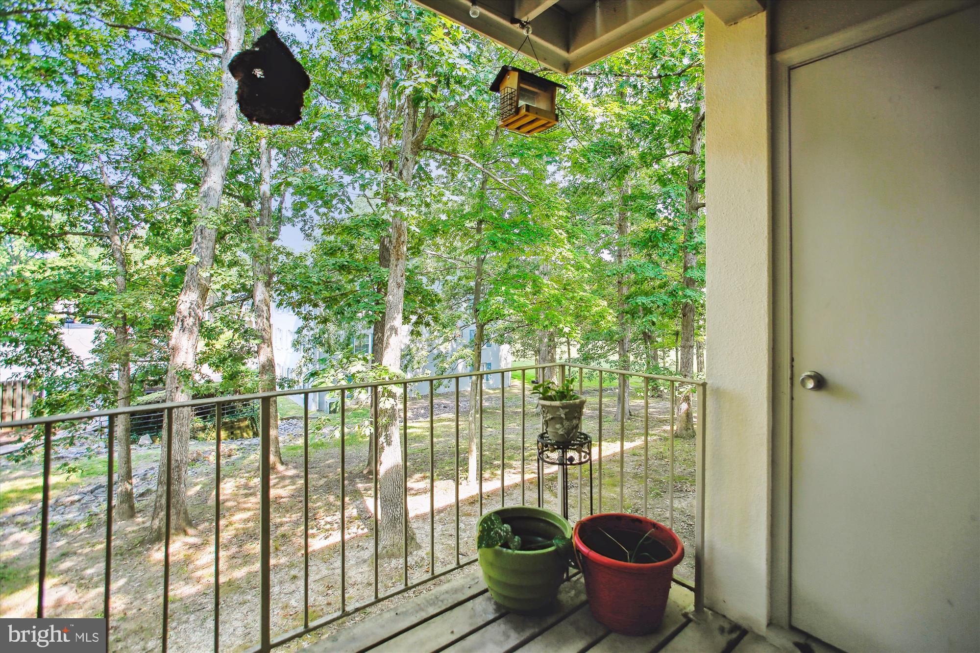 CARDINAL FOREST - Residential