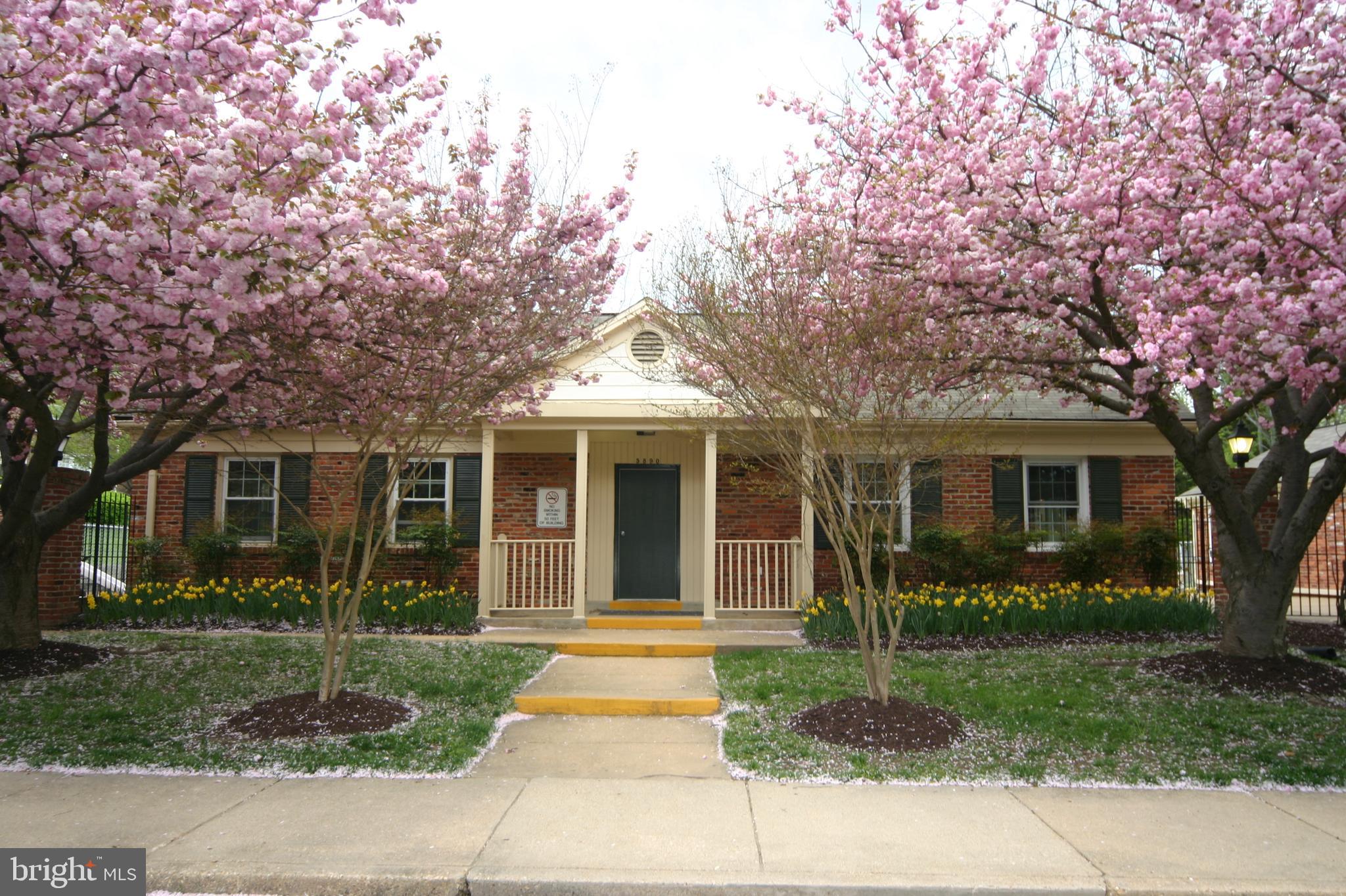 CARDINAL FOREST - Residential