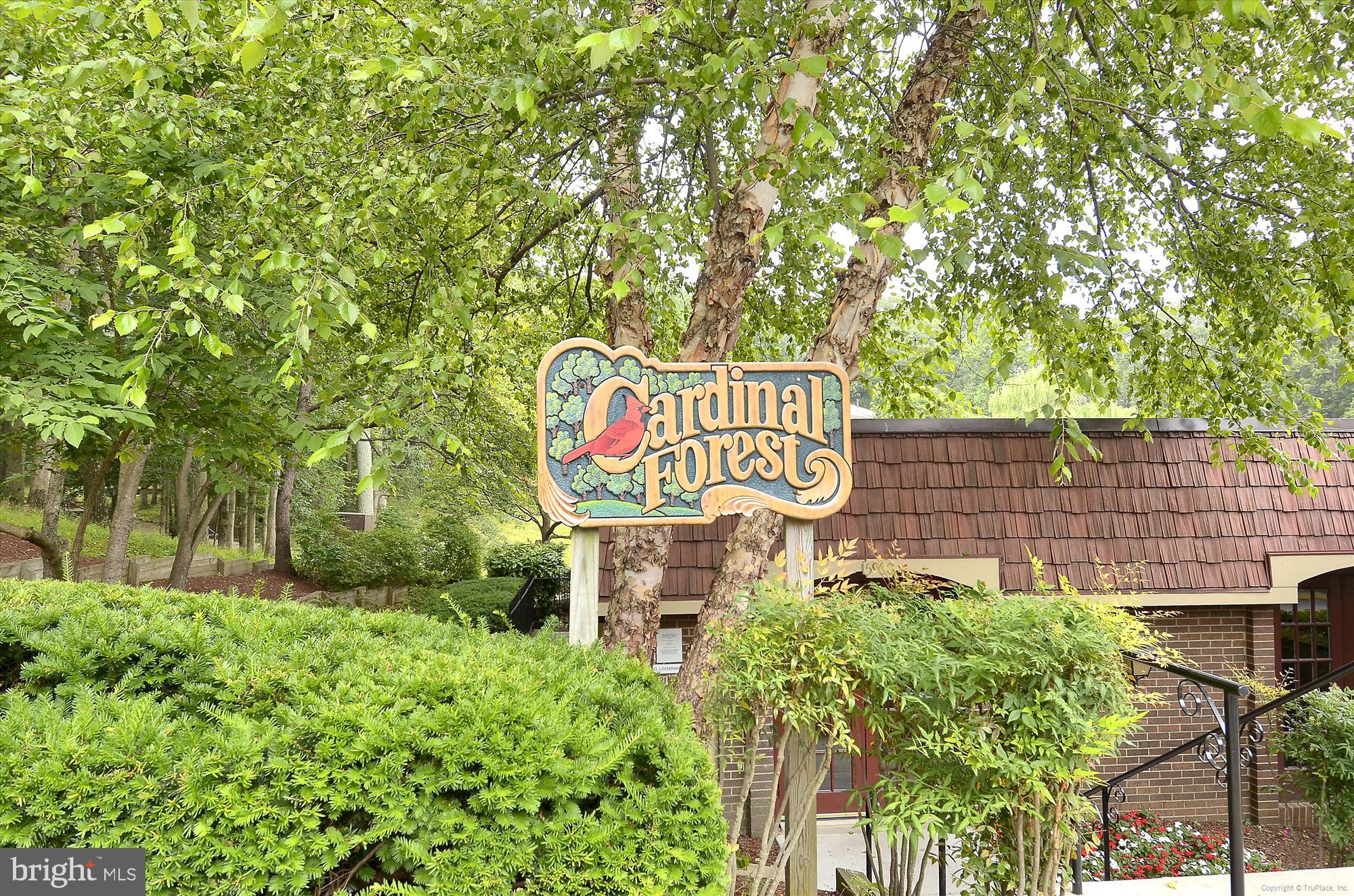 CARDINAL FOREST - Residential