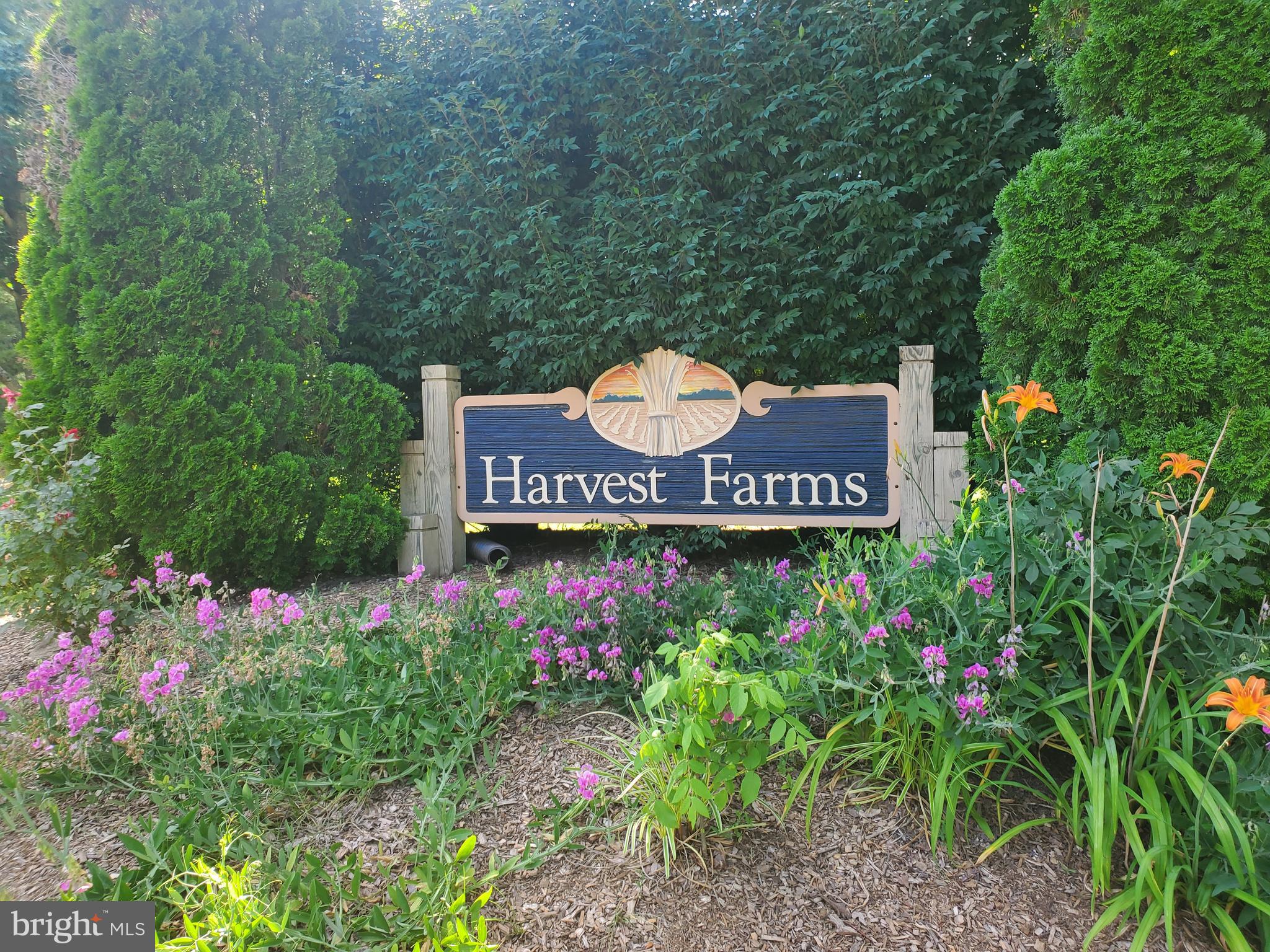 HARVEST FARMS - Residential