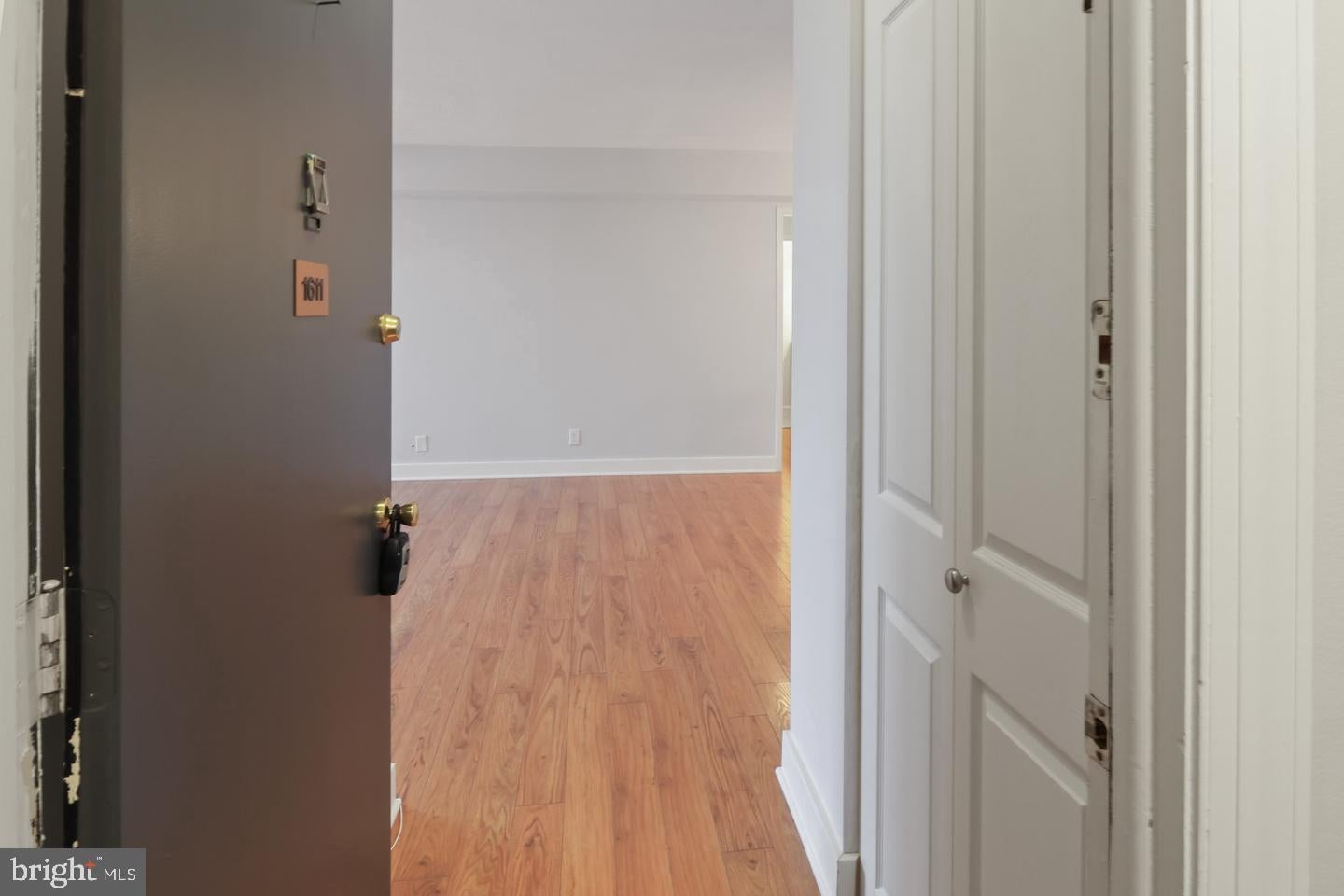 1101 SAINT PAUL STREET 1611