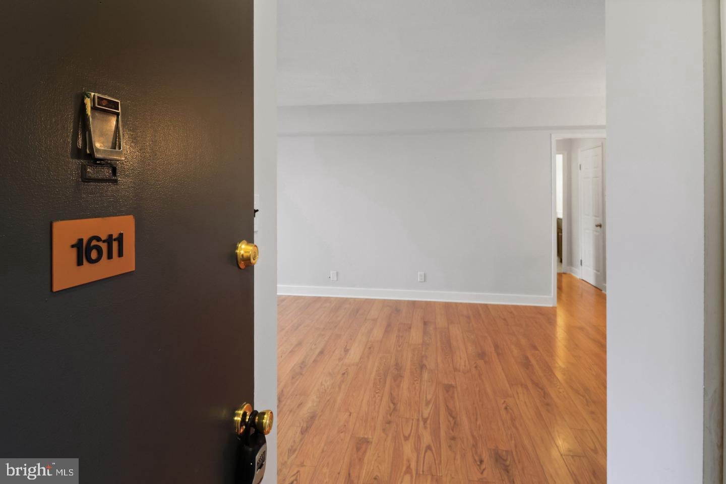 1101 SAINT PAUL STREET 1611