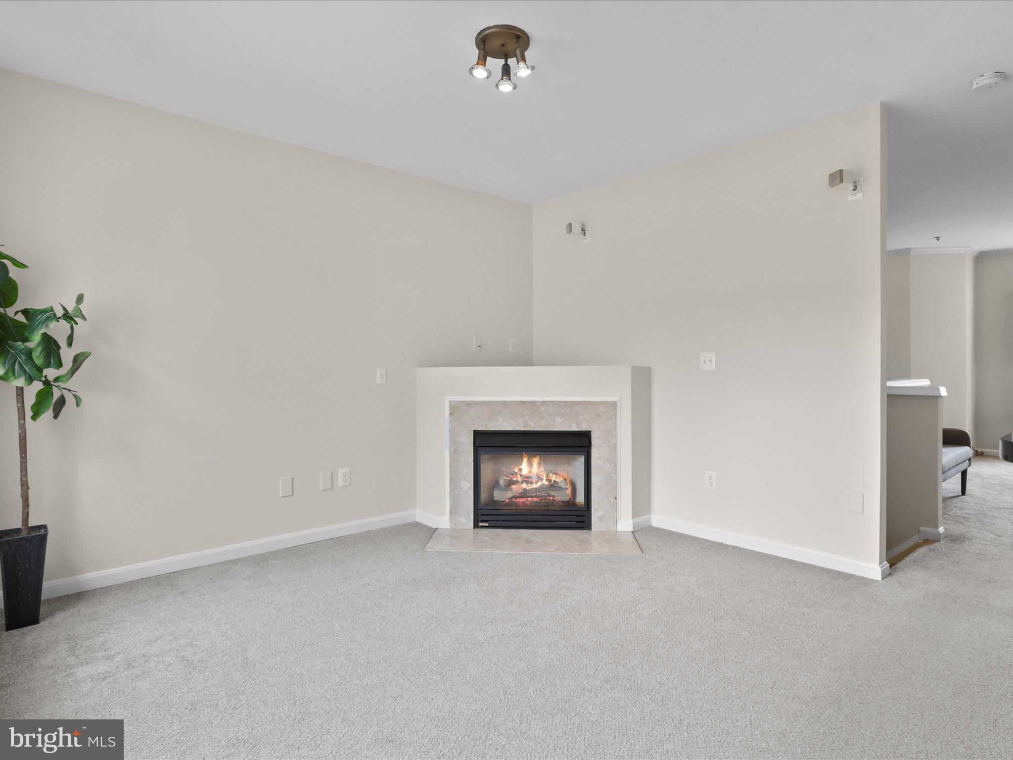 OLD TOWN GREENS - Residential