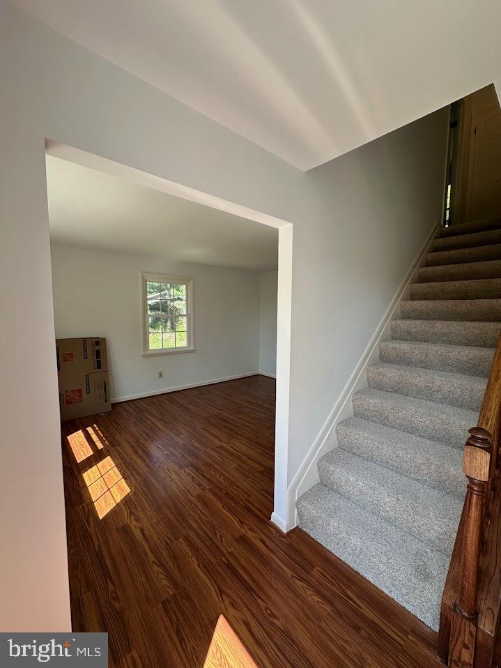 BUENA VISTA ESTATES - Residential