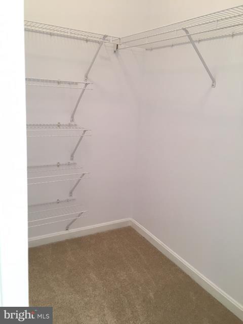 BLUE RIDGE LEISURE WORLD - Residential