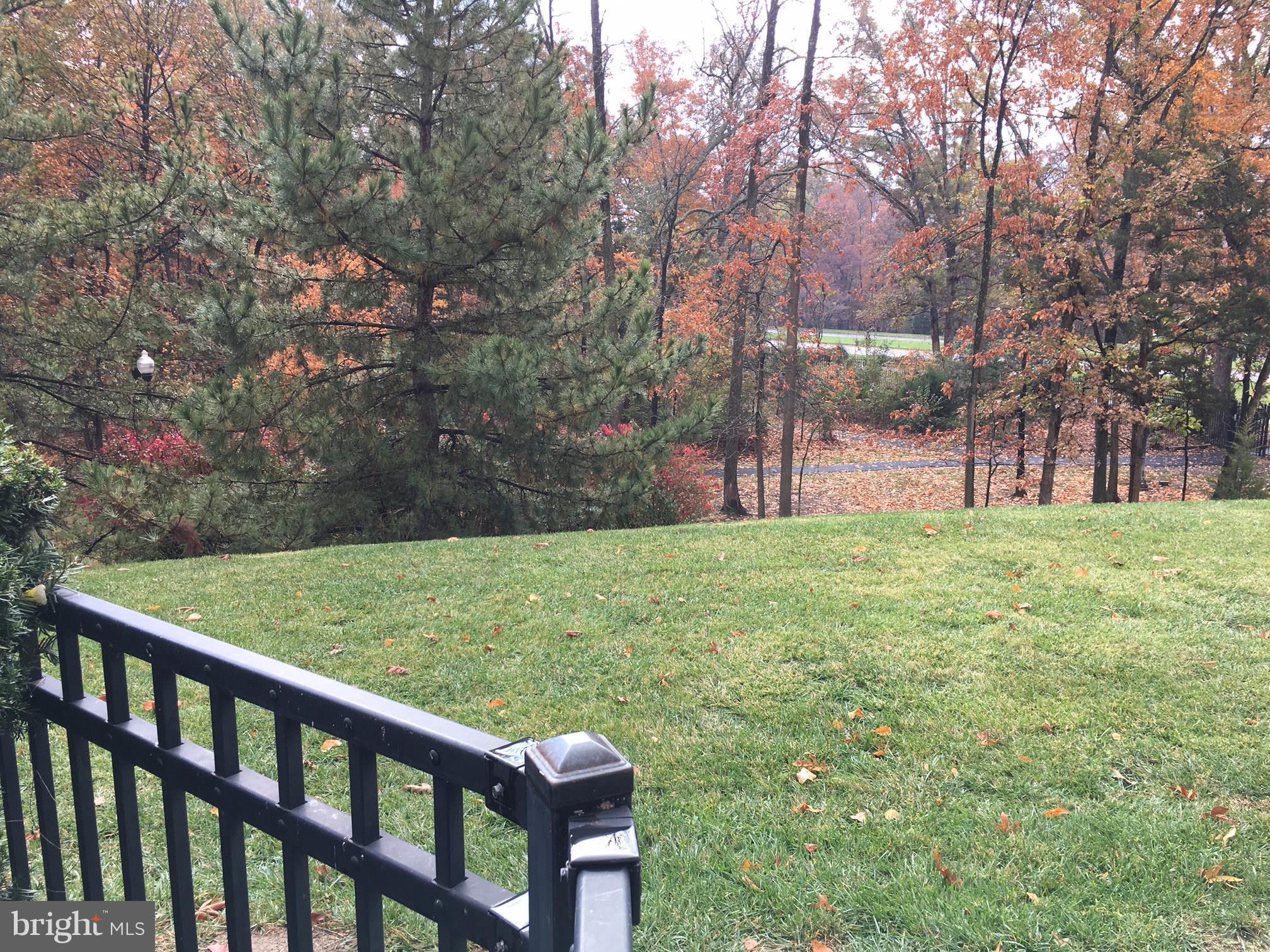 BLUE RIDGE LEISURE WORLD - Residential