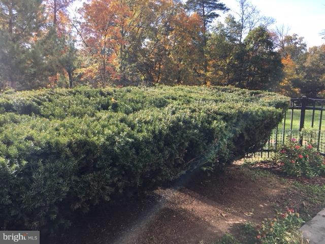 BLUE RIDGE LEISURE WORLD - Residential