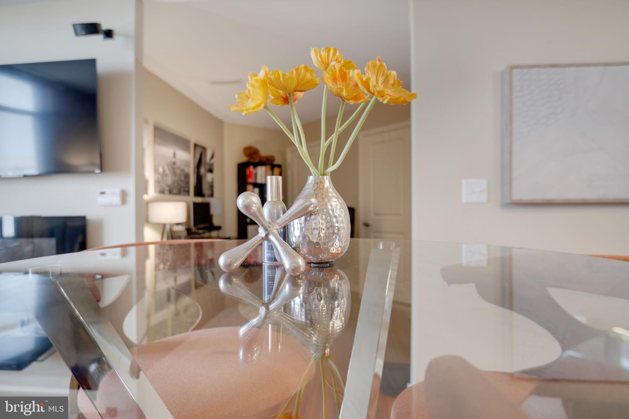 155 POTOMAC PASSAGE 533