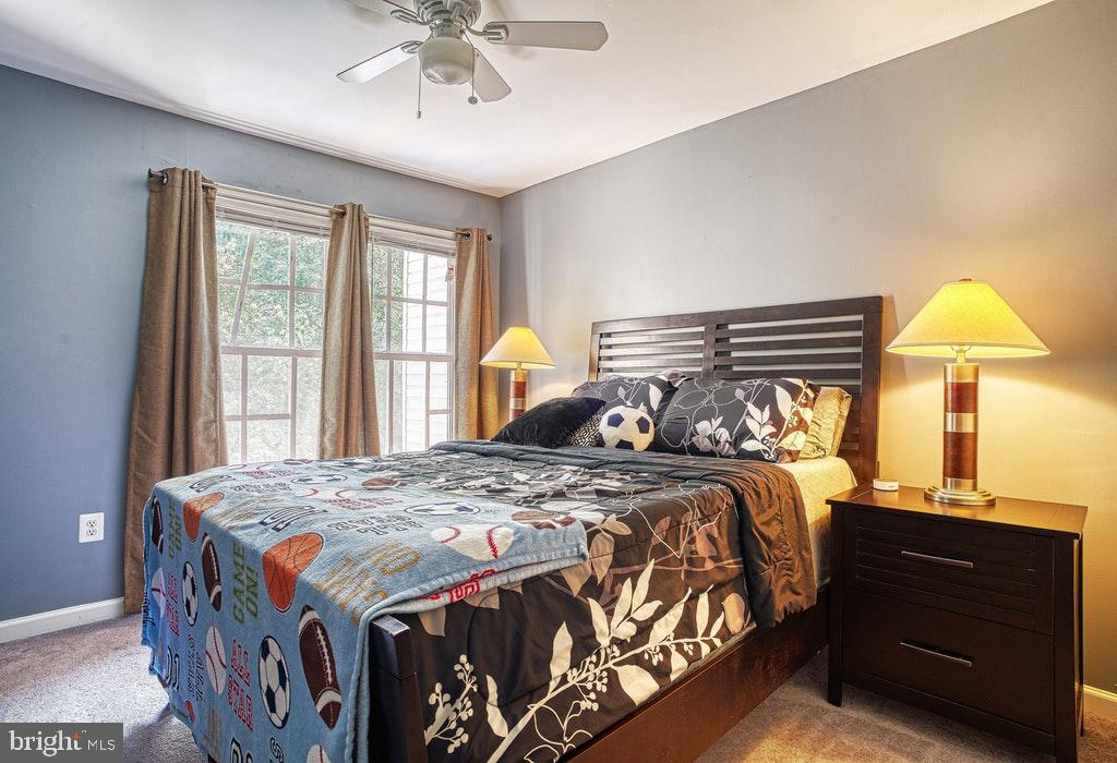 TOWNS OF FOREST HILLS - Residential