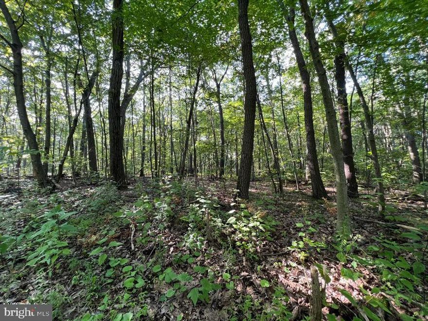 Great building lot at Blue Knob Resort. Water, Sewer and Electric are available just pay tap fee. ** An adjoining lot is also available listing number 72930 HOA Lot Owners - $125.00 a year Home owners - $425.00 a year SKA Membership Dues include: Road maintenance Snow plowing of the roads Access to: Dumpsters for trash Outdoor pool Tennis court Biking and hiking trails Clubhouse Bar and Grille (open ski and golf season) Indoor pool, sauna and hot tubs for a reasonable fee. Golf Course for fees posted on Blue Knob website. Snowshoeing Downhill and Cross-Country Skiing for fees posted on Blue Knob website. Fun, excitement, beauty, activities, wildlife, relaxation - PRICELESS