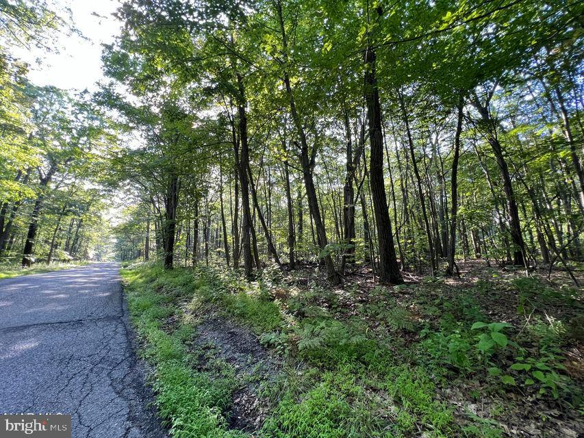 117 & 118 KITTANNING (OVERLAND PASS) RUN