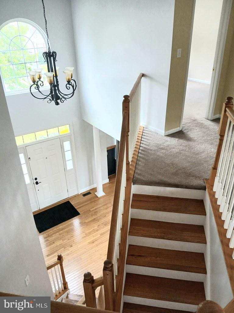 434 LONGLEAF DRIVE