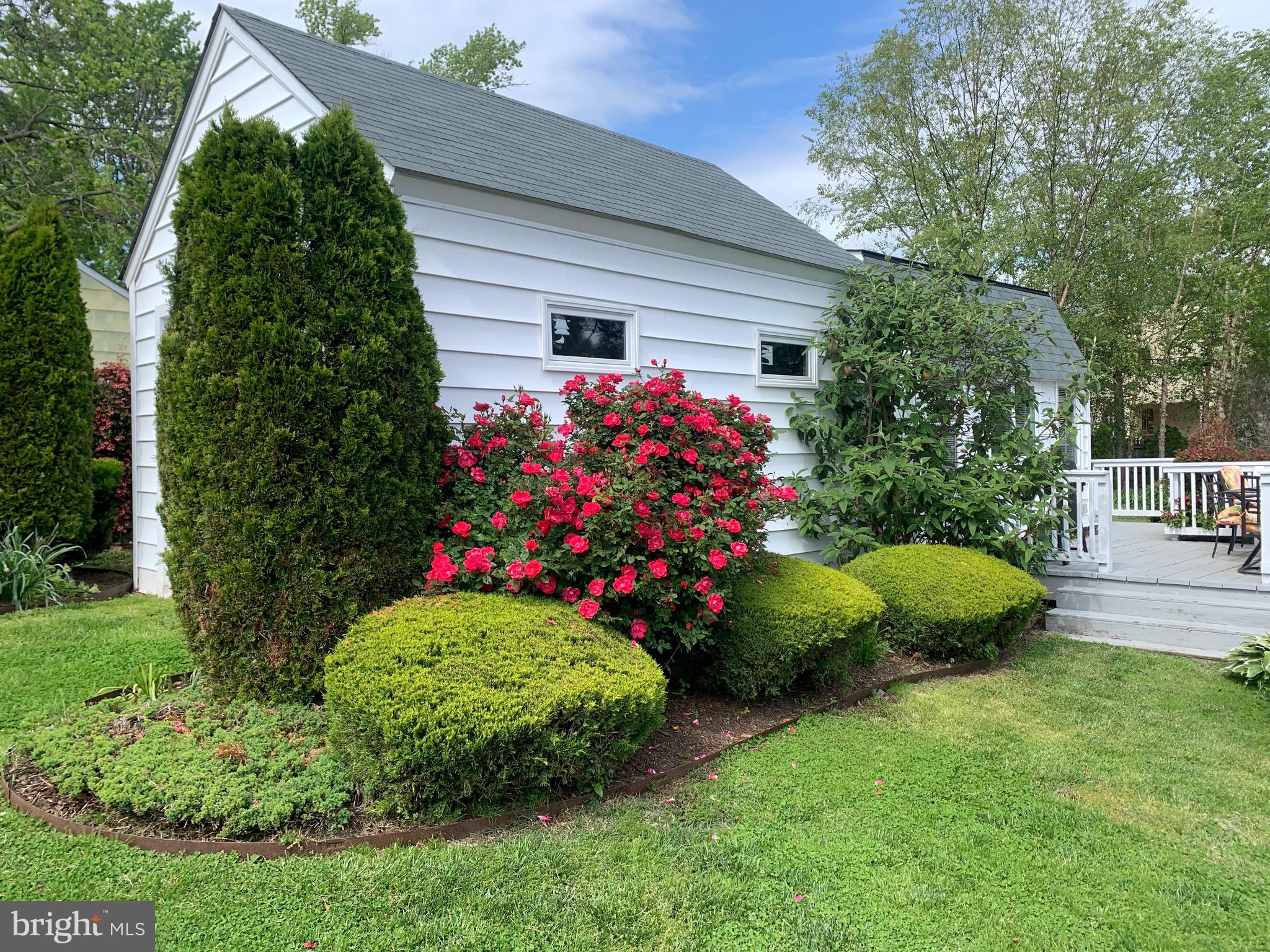 SAVAGE MEADOWS - Residential