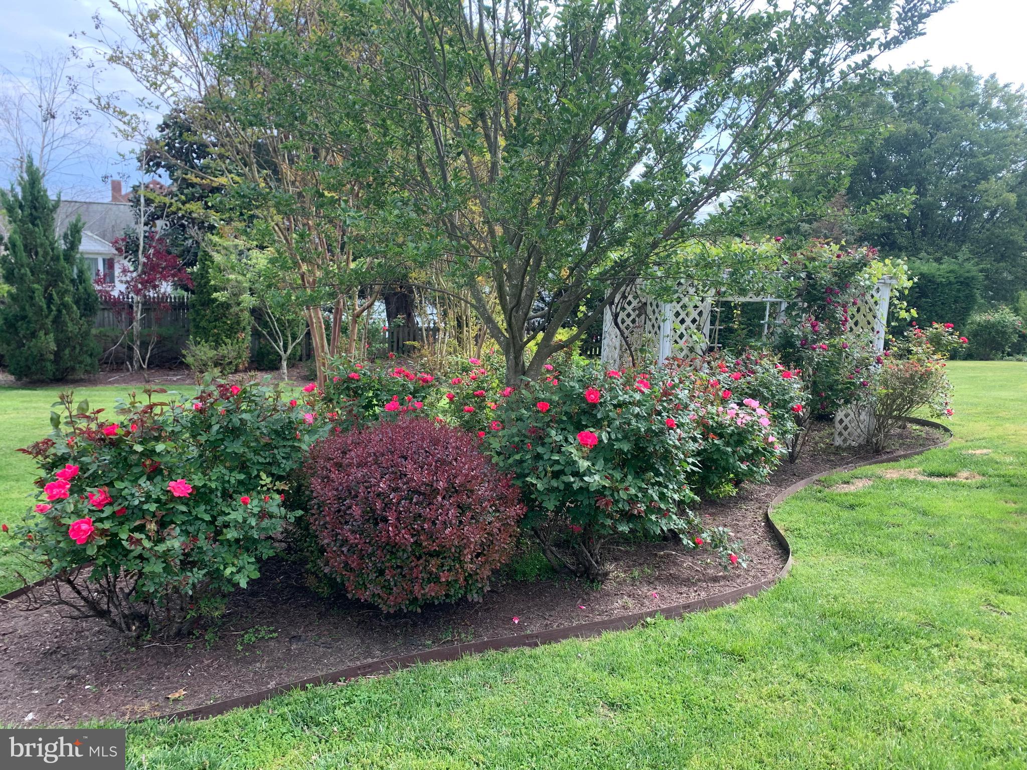 SAVAGE MEADOWS - Residential