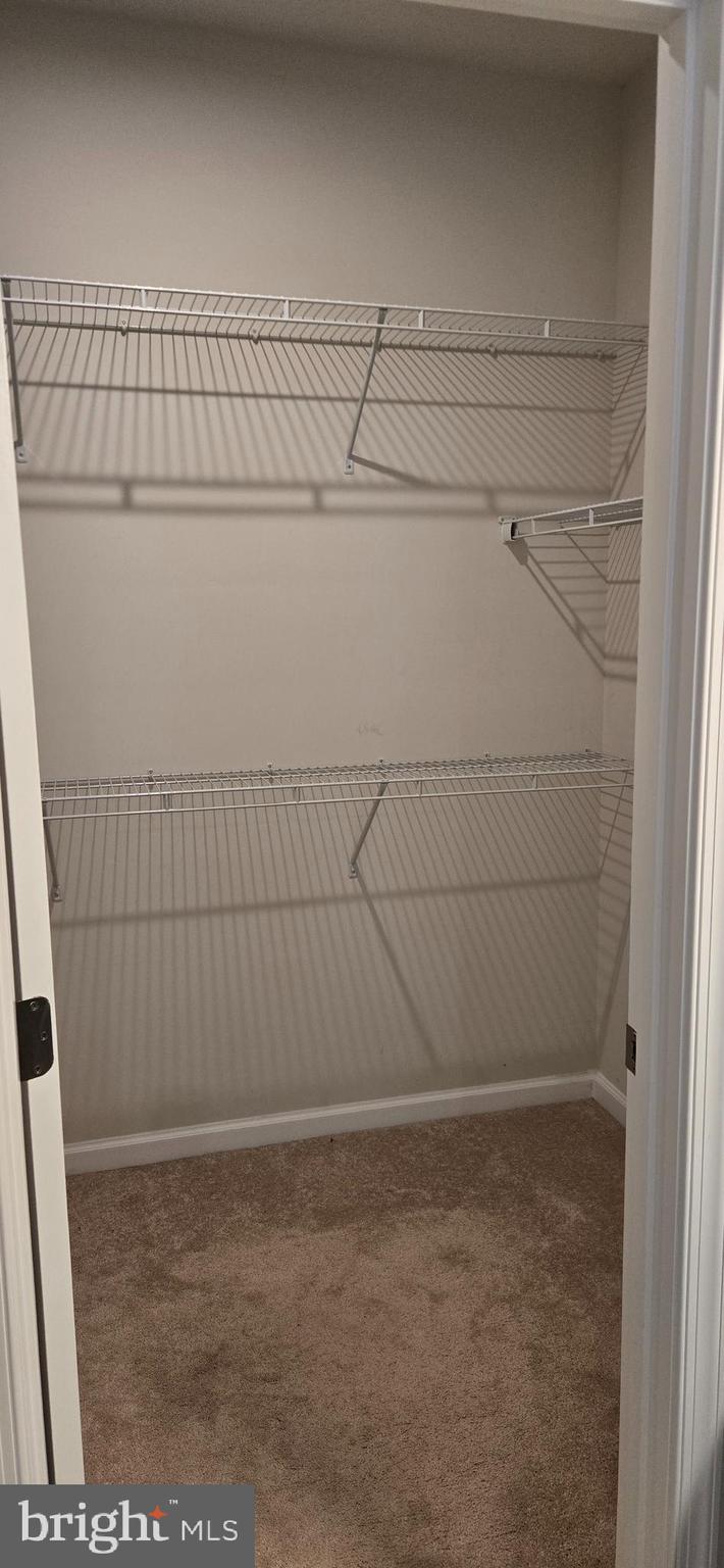 CABIN BRANCH - Residential Lease