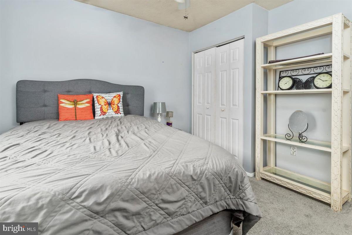 REVELL DOWNS - Residential