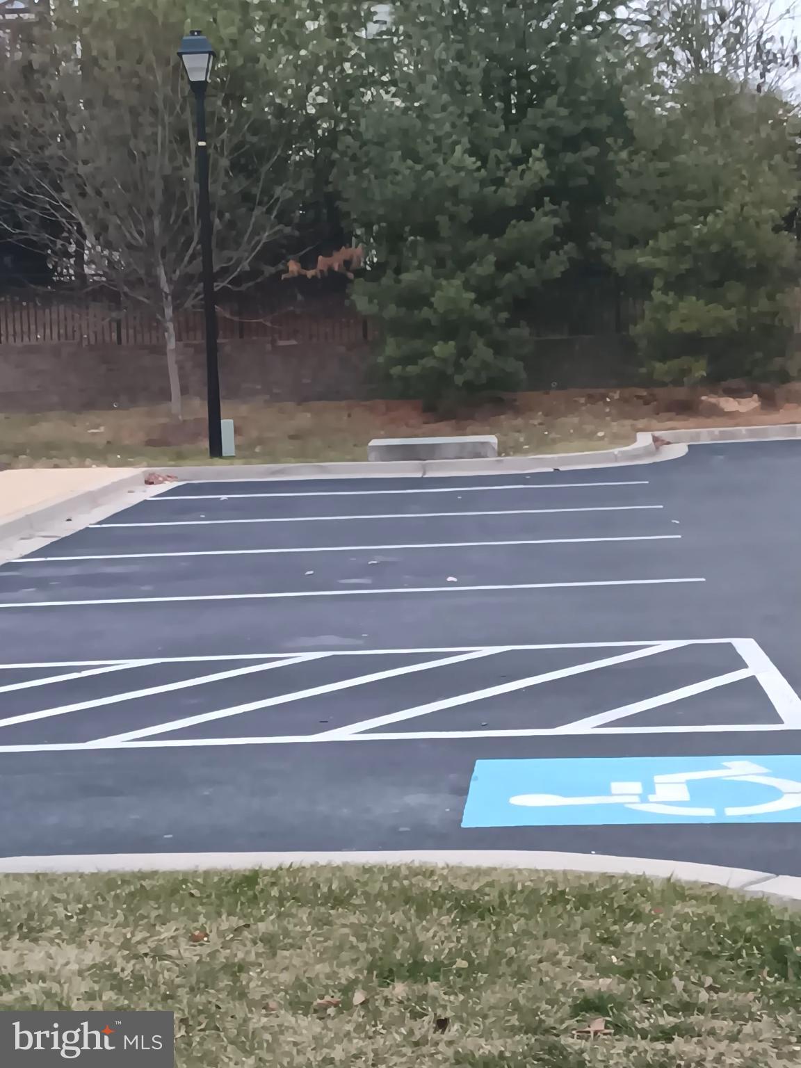 WESTSIDE - Residential Lease