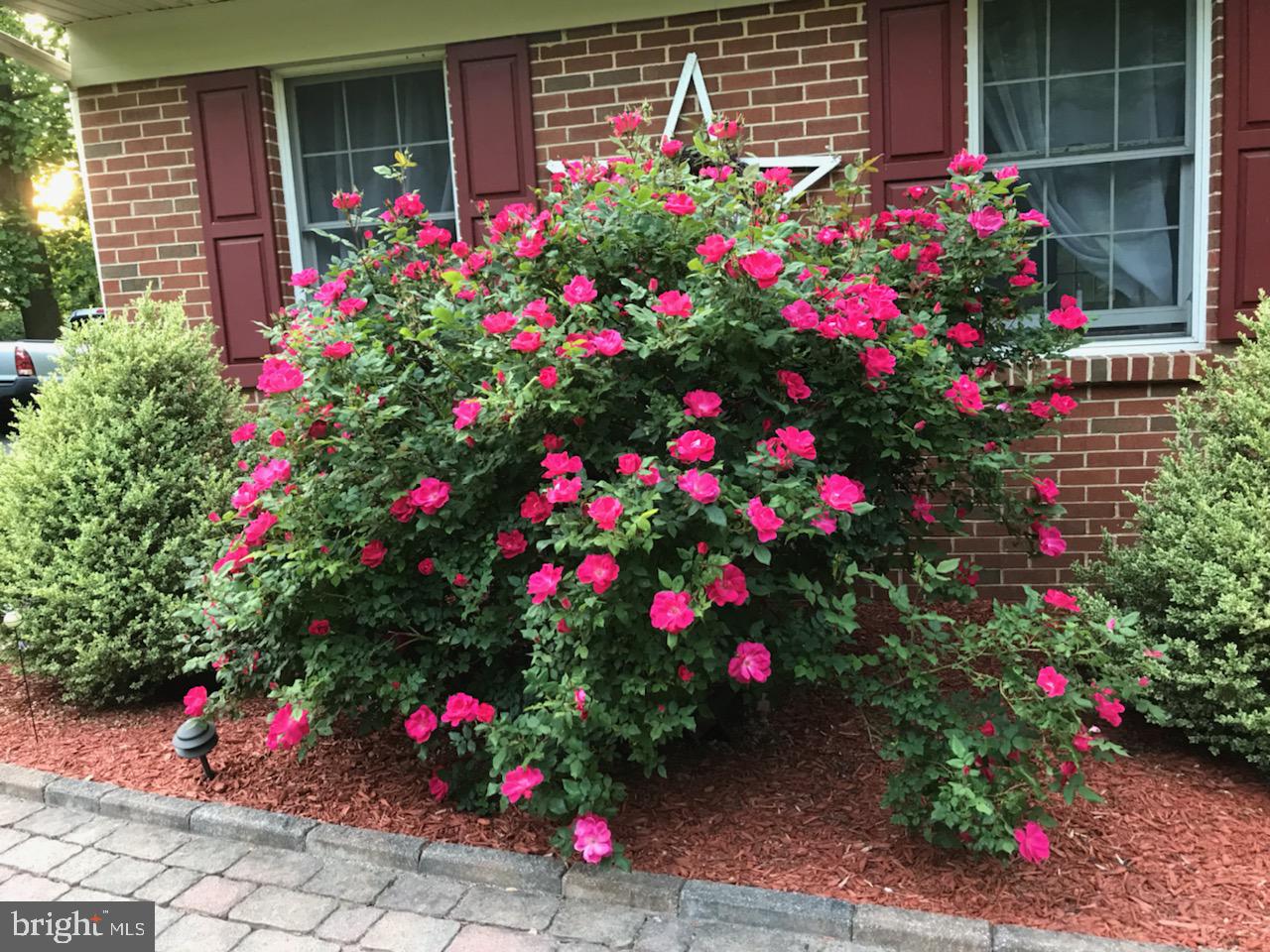 MORGANTOWN - Residential