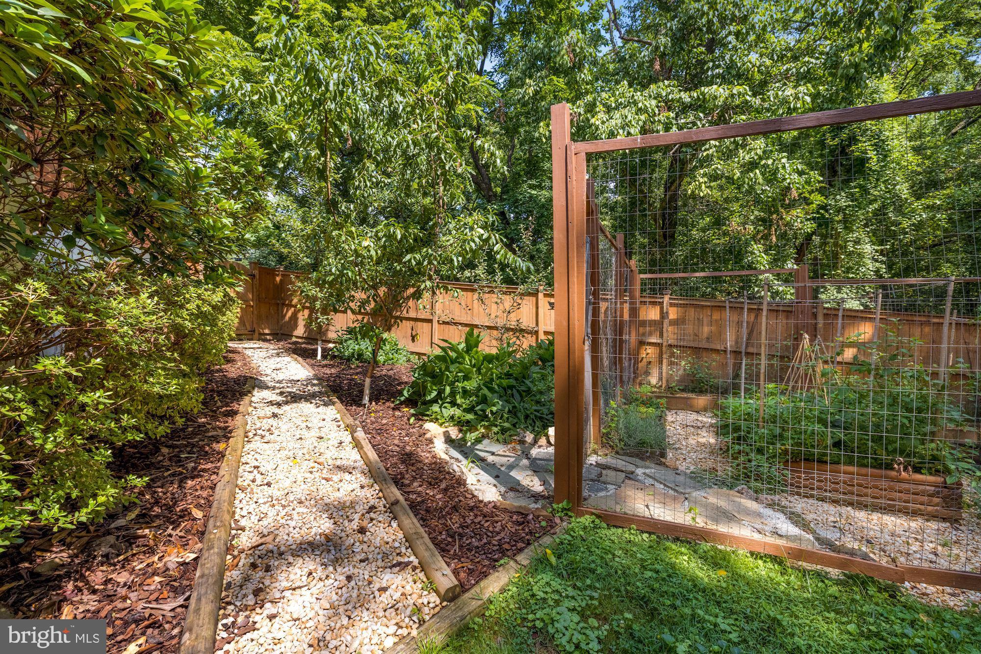 RANDOLPH HILLS - Residential Lease