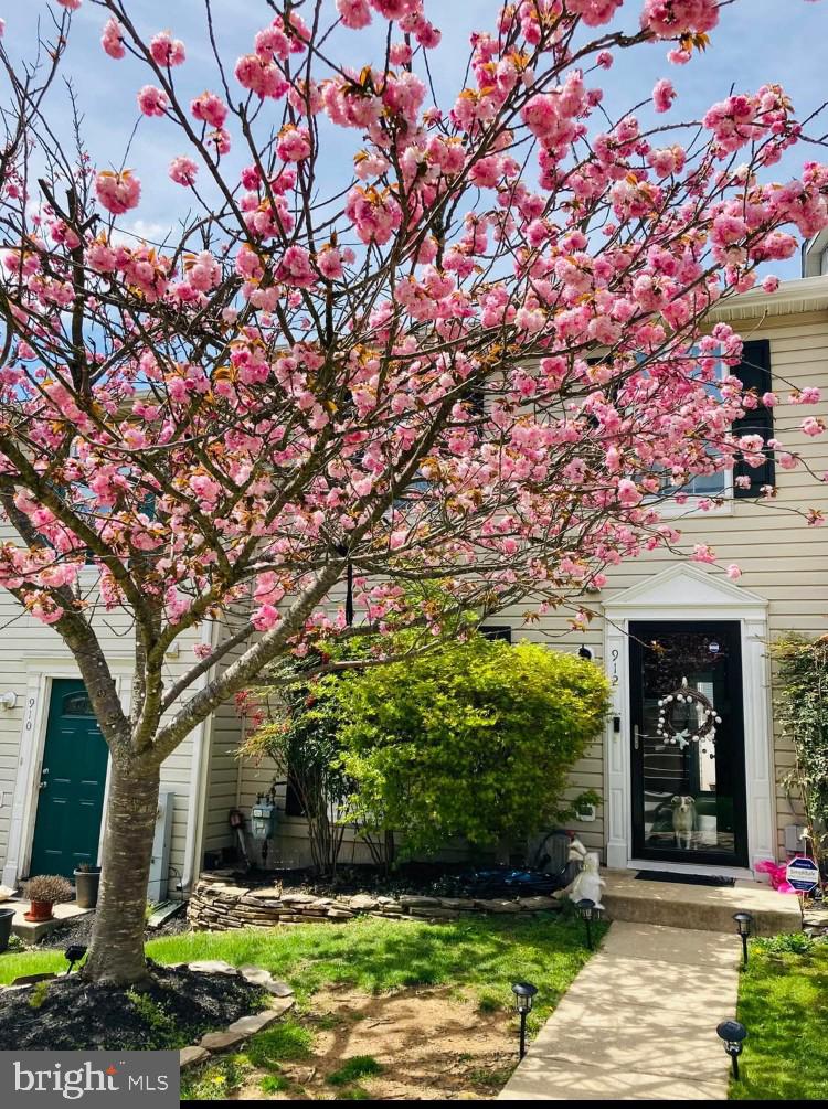 BRENTWOOD CONDO - Residential