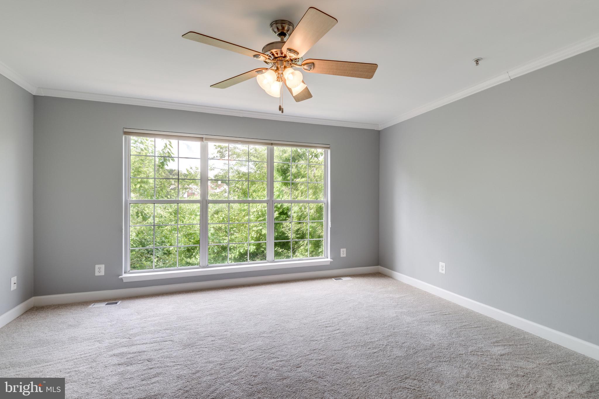 CHATHAM GREEN - Residential