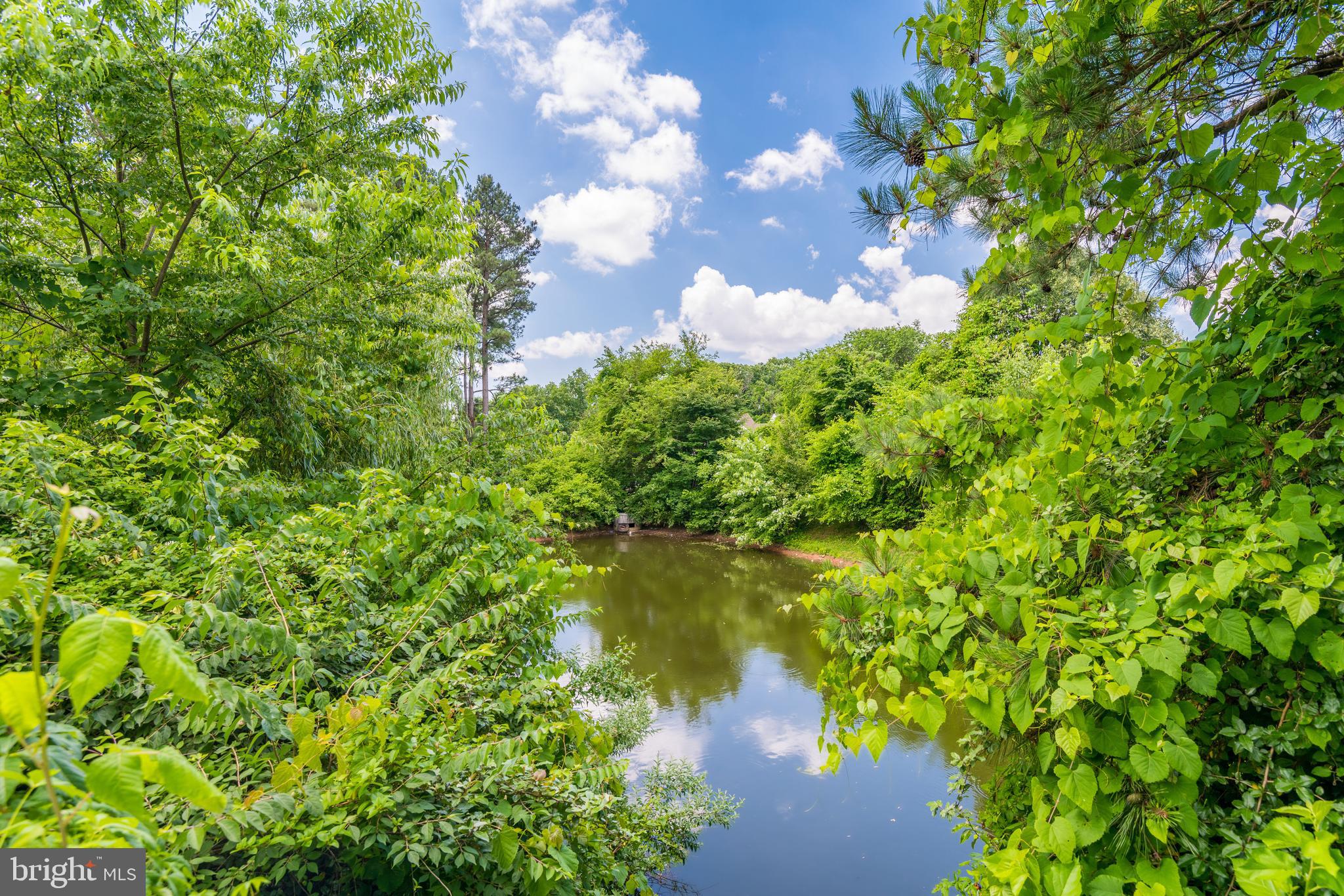 CHATHAM GREEN - Residential