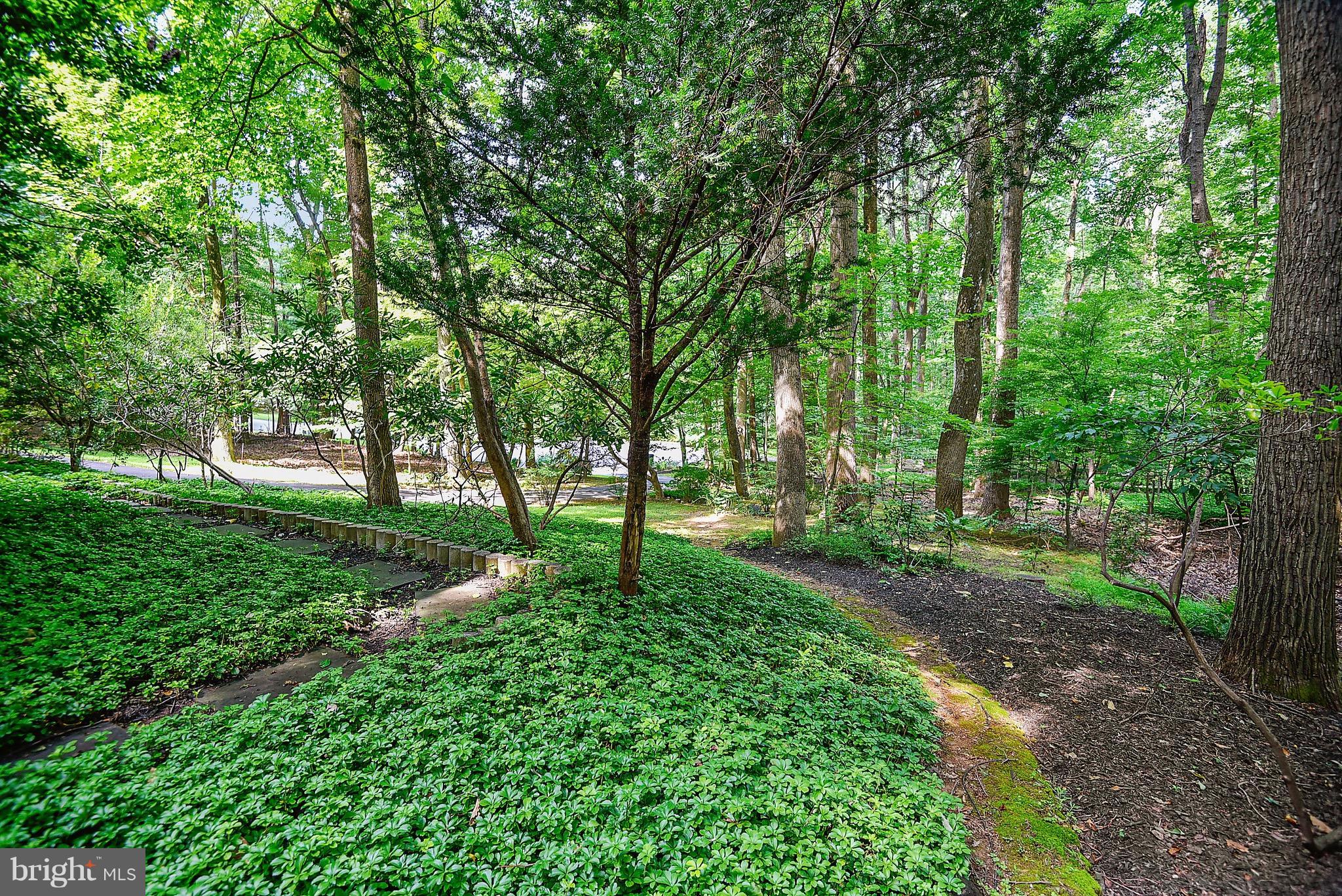 CAVES VALLEY - Residential