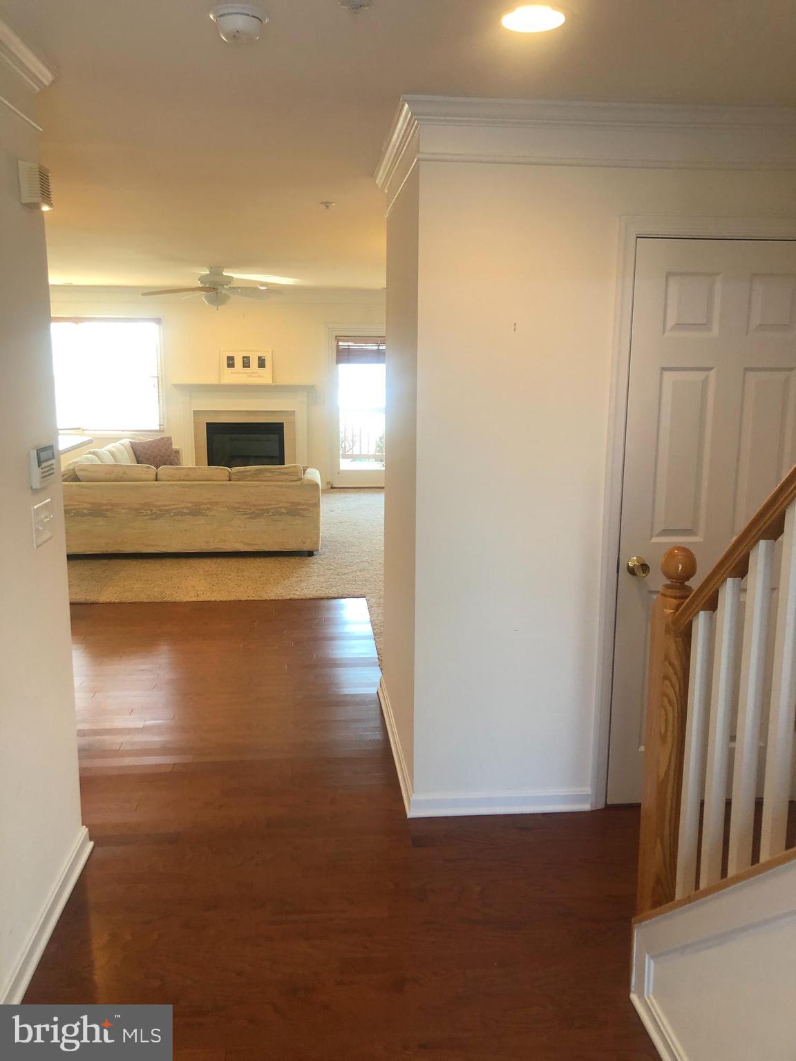 BAYSIDE - Residential Lease